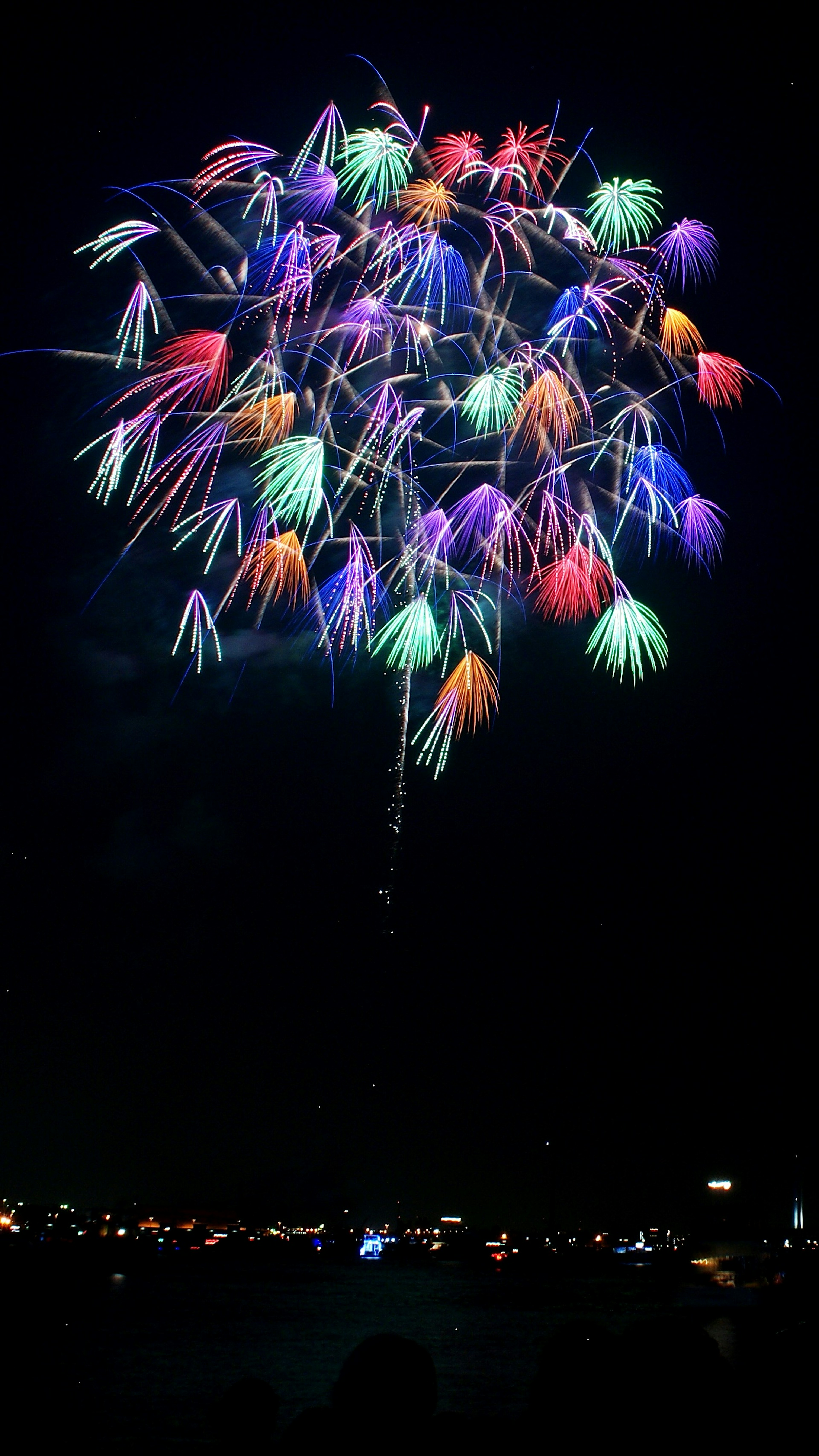 Fuegos artificiales coloridos estallando en el cielo nocturno