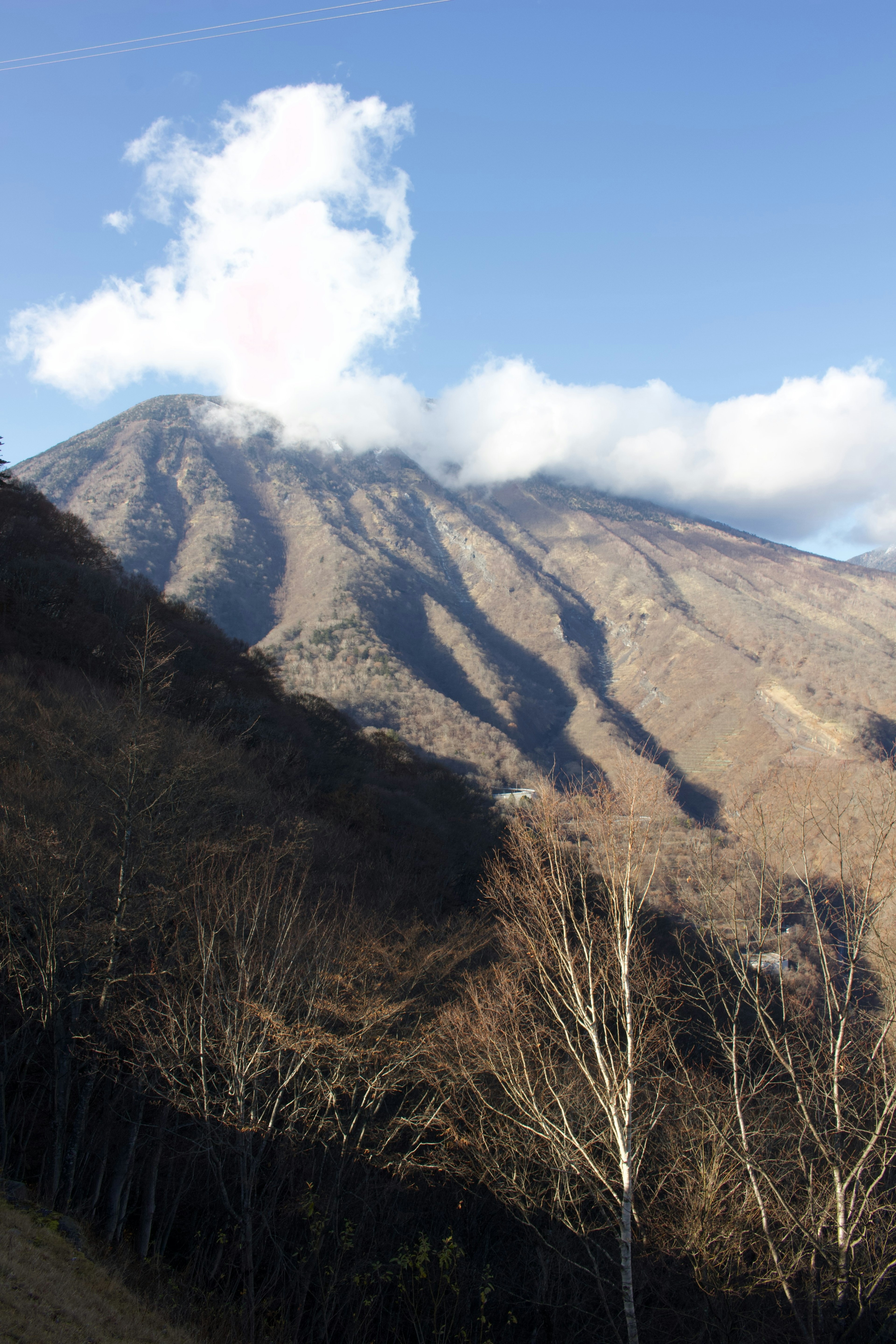 山の斜面に木々が並び、青空の下に雲が浮かぶ風景