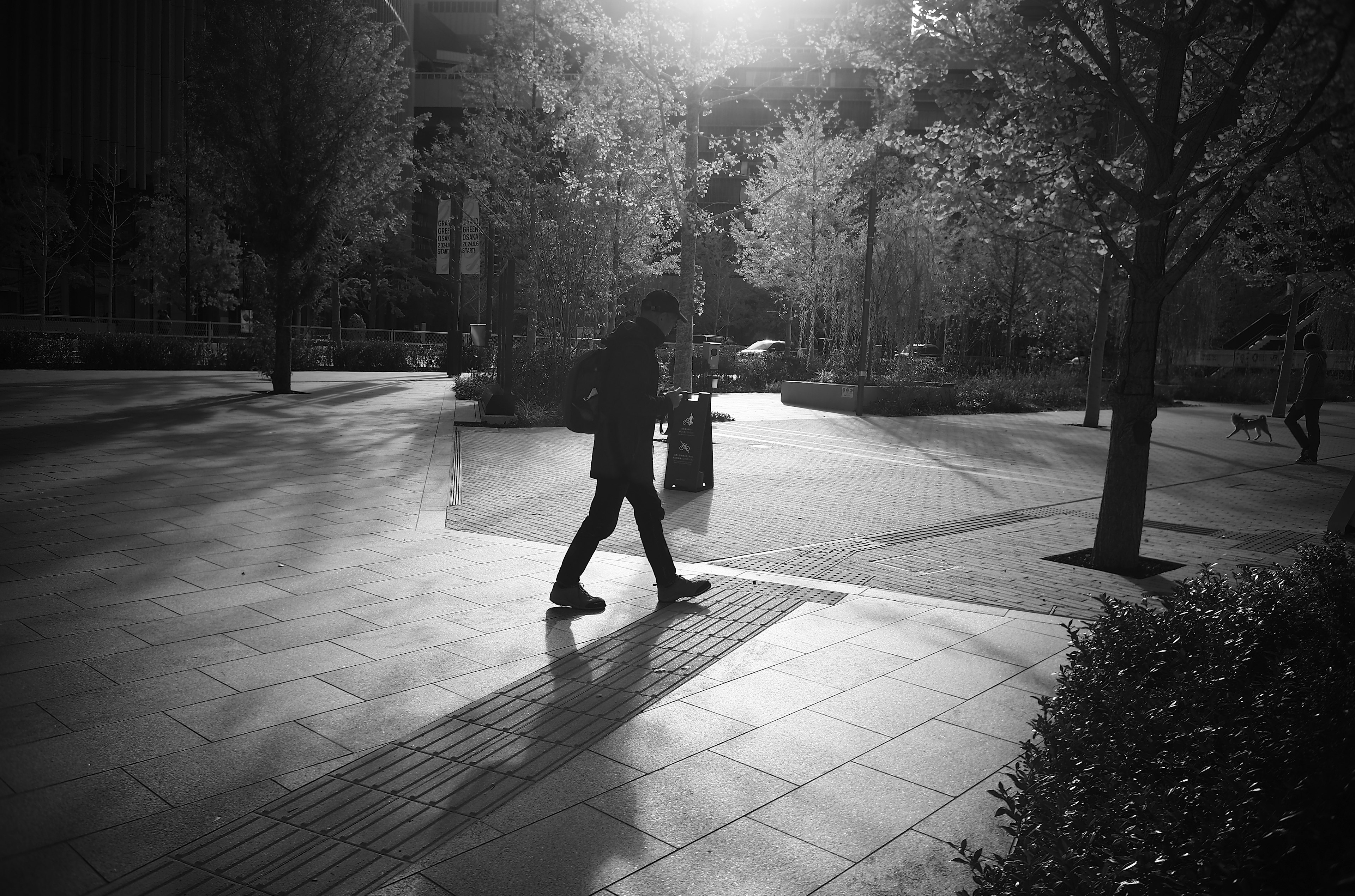 Una figura caminando por un parque en blanco y negro con luz del sol filtrándose entre los árboles