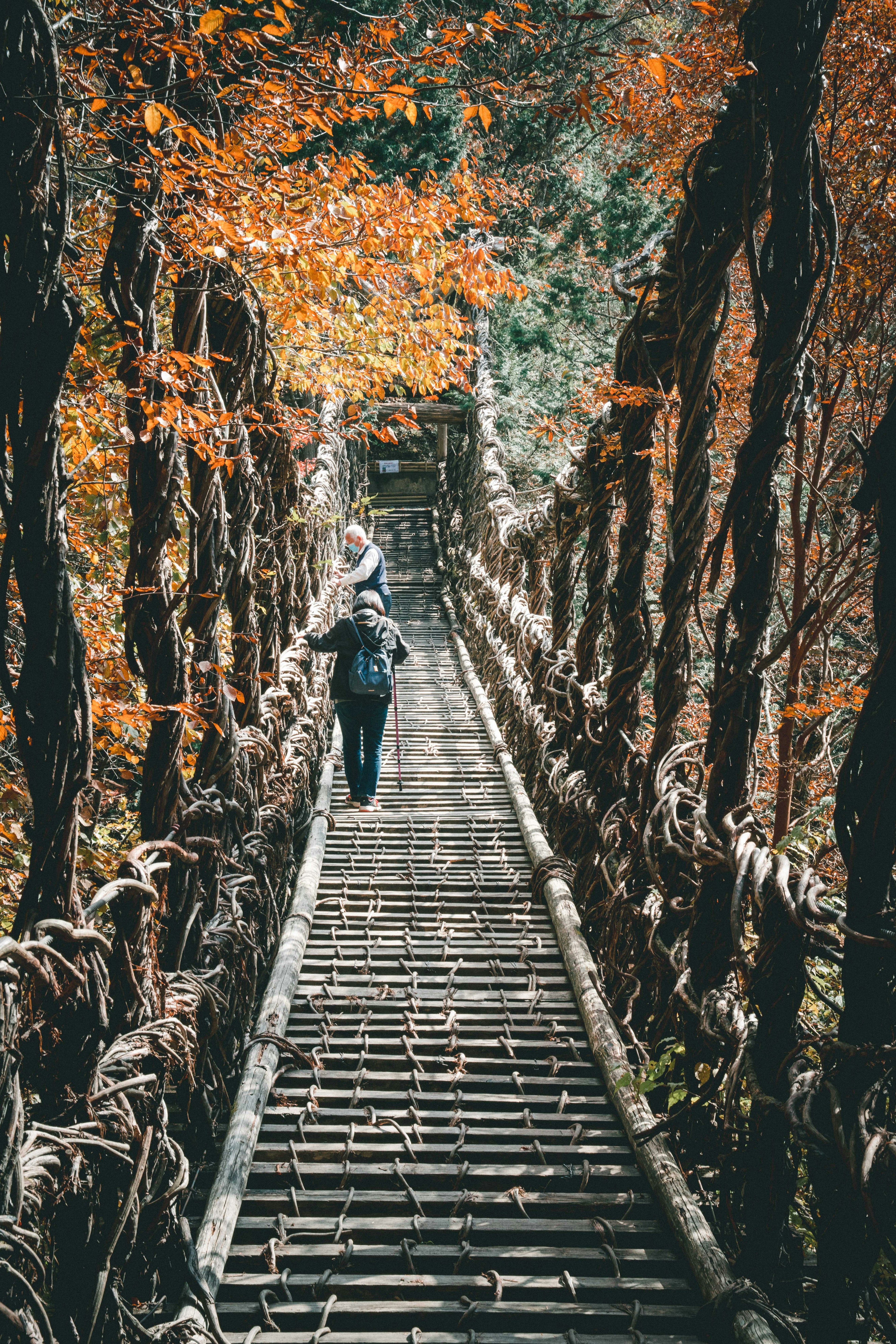 Person walking on a wooden suspension bridge surrounded by autumn foliage