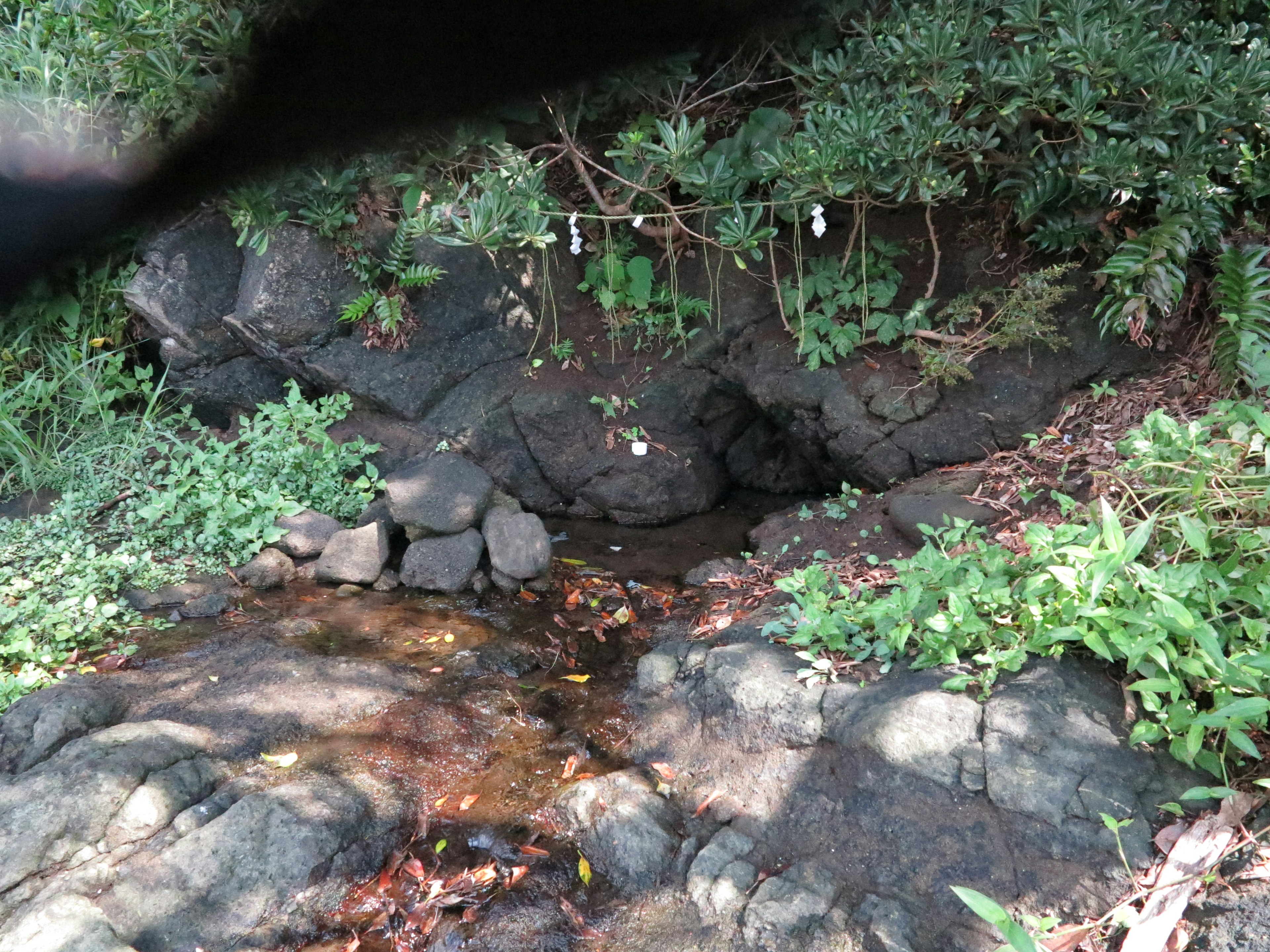 小溪流經岩石之間，旁邊有綠色植物