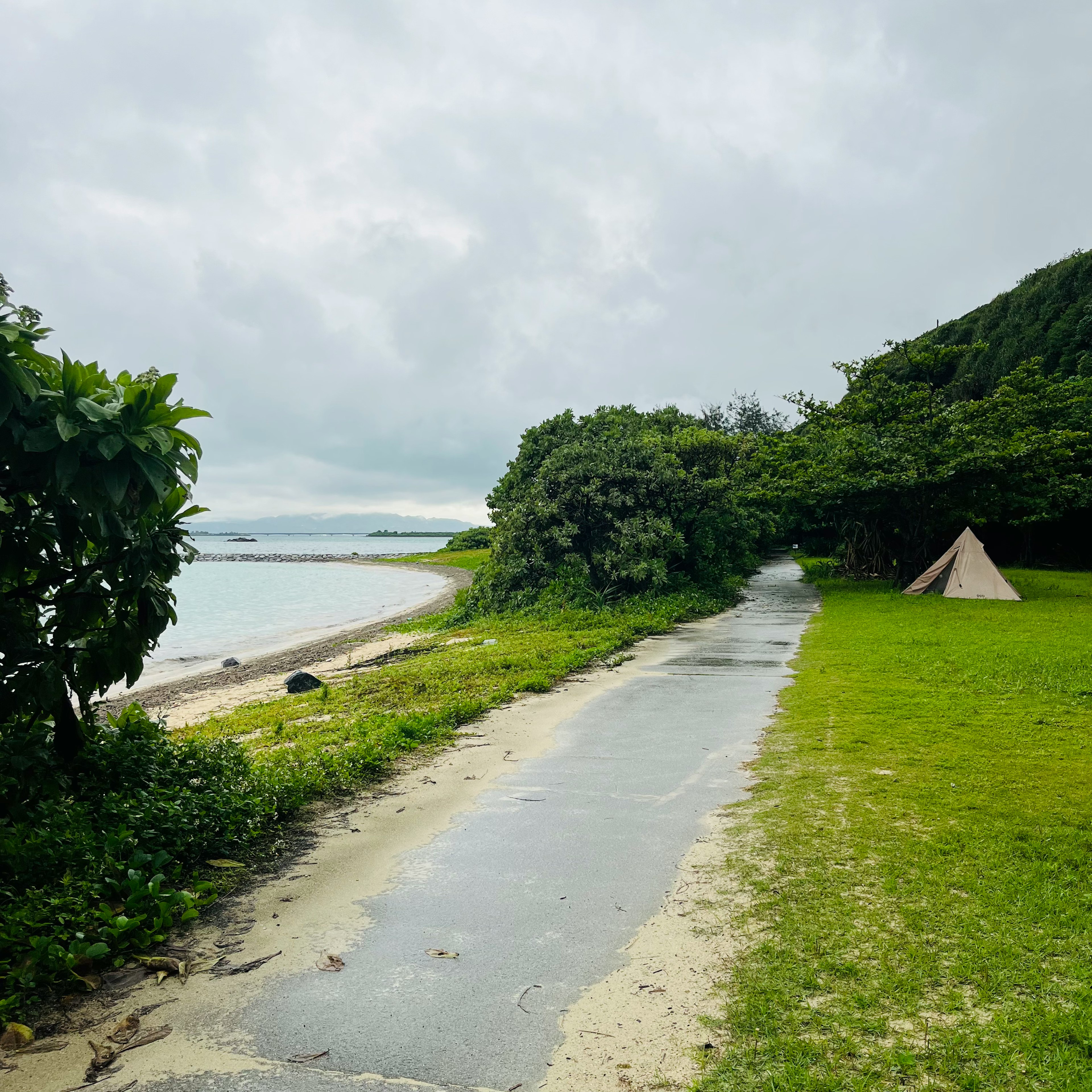 Sentier pittoresque le long de la plage avec une végétation luxuriante et une tente