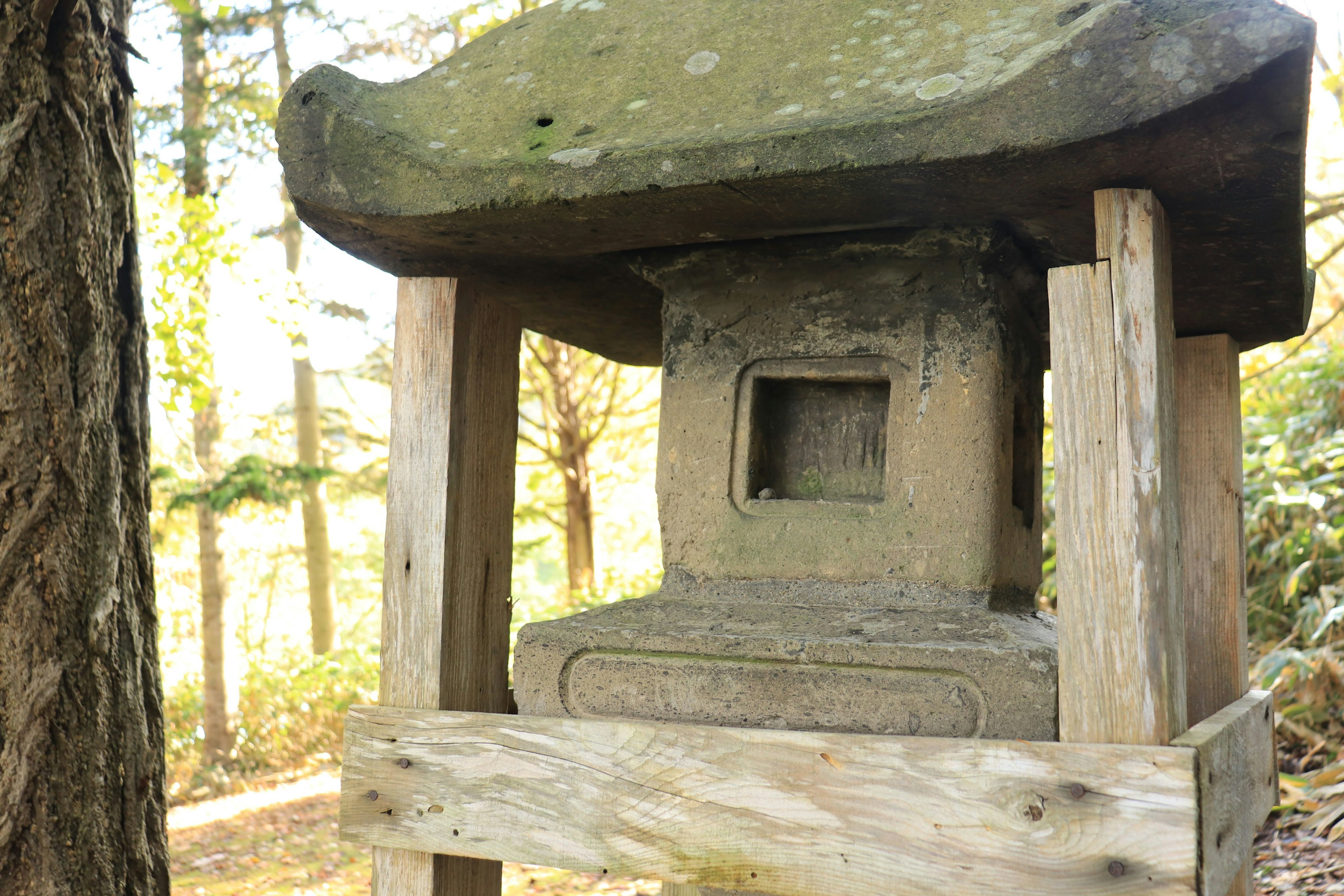 Lanterna in pietra su una base di legno in un ambiente forestale