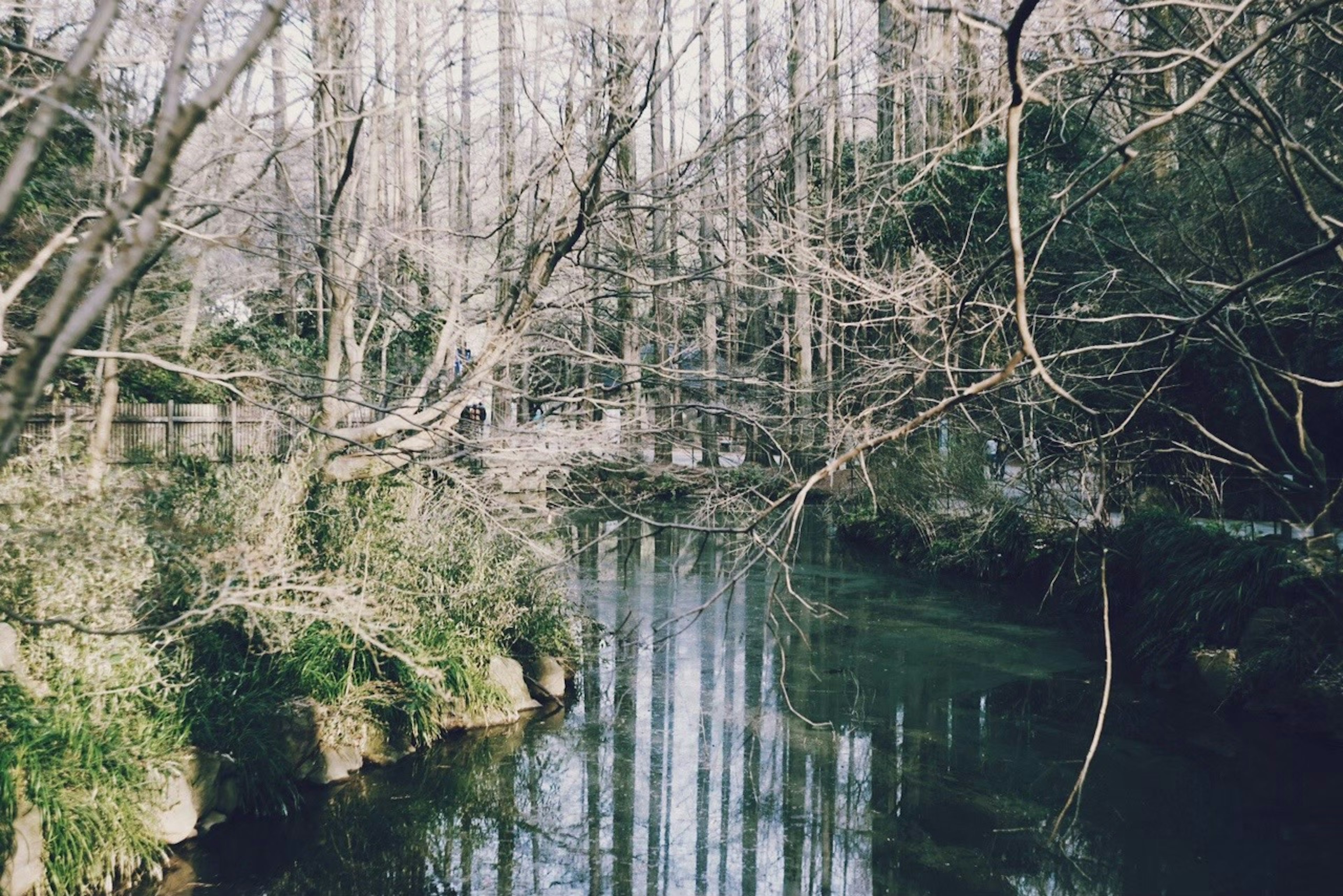 Ruhige Flusslandschaft mit Baumreflexionen