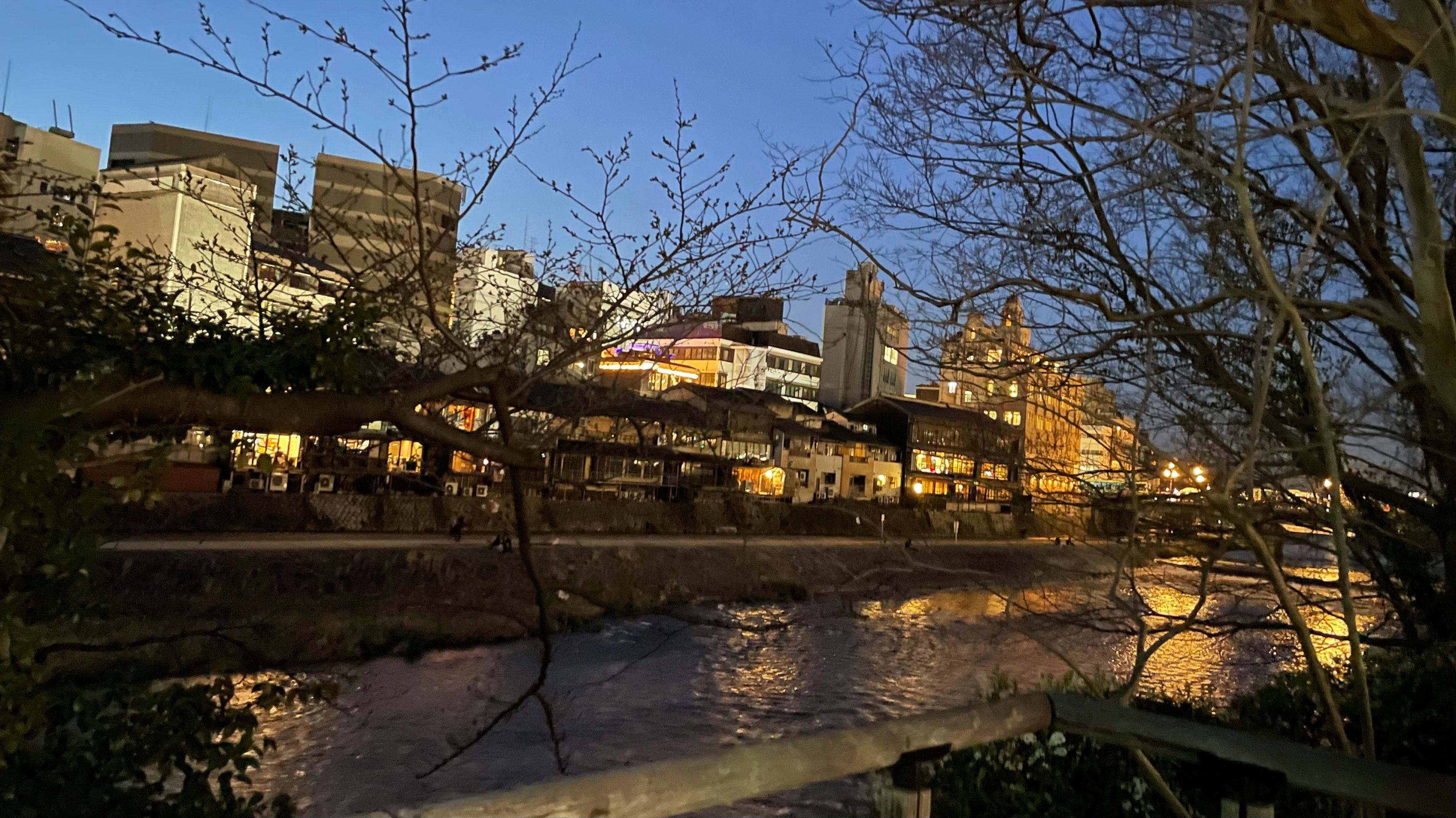 夜晚河边城市风景，灯光照亮的建筑和树木