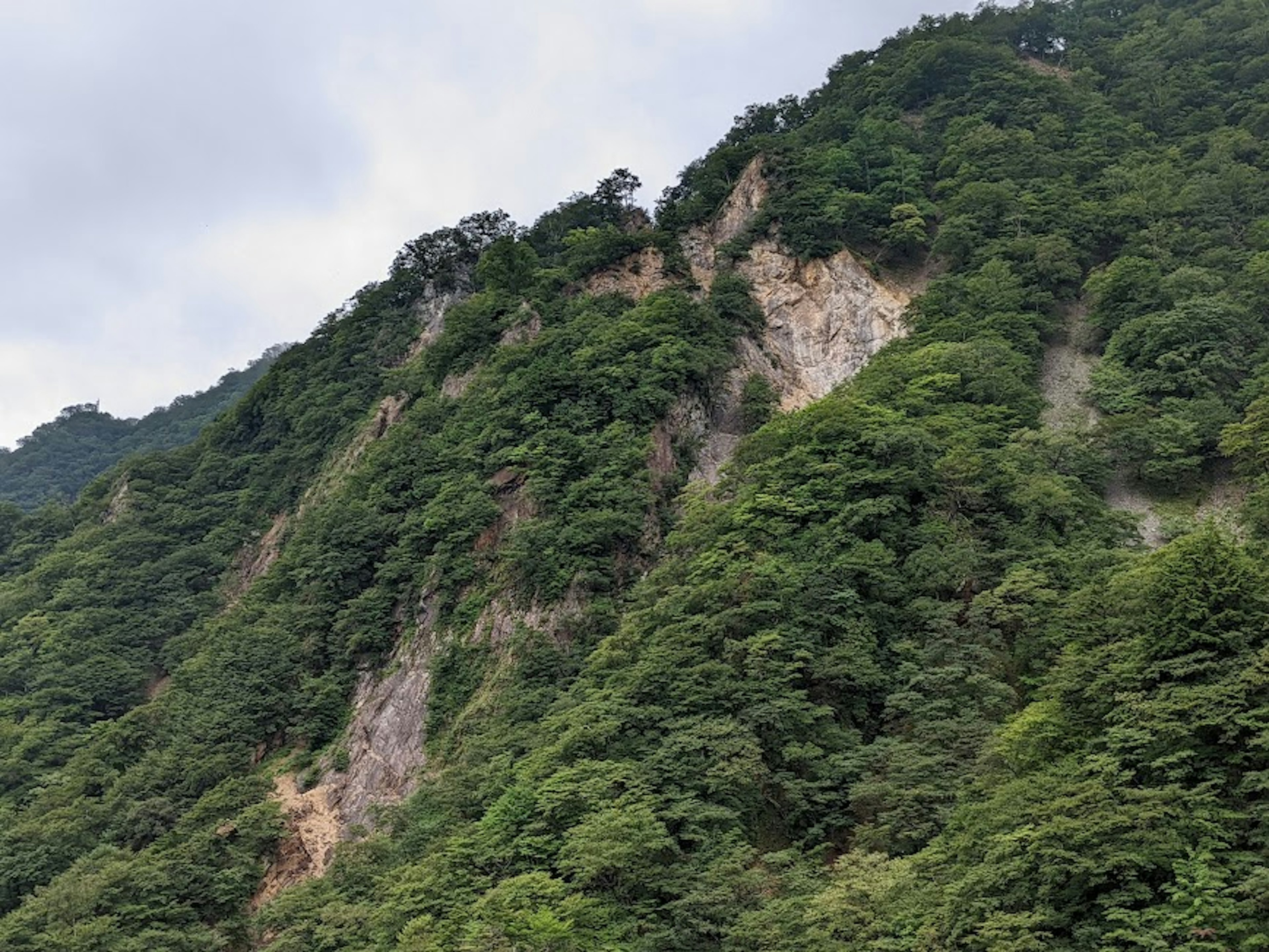 Pendiente de montaña verde con áreas rocosas expuestas