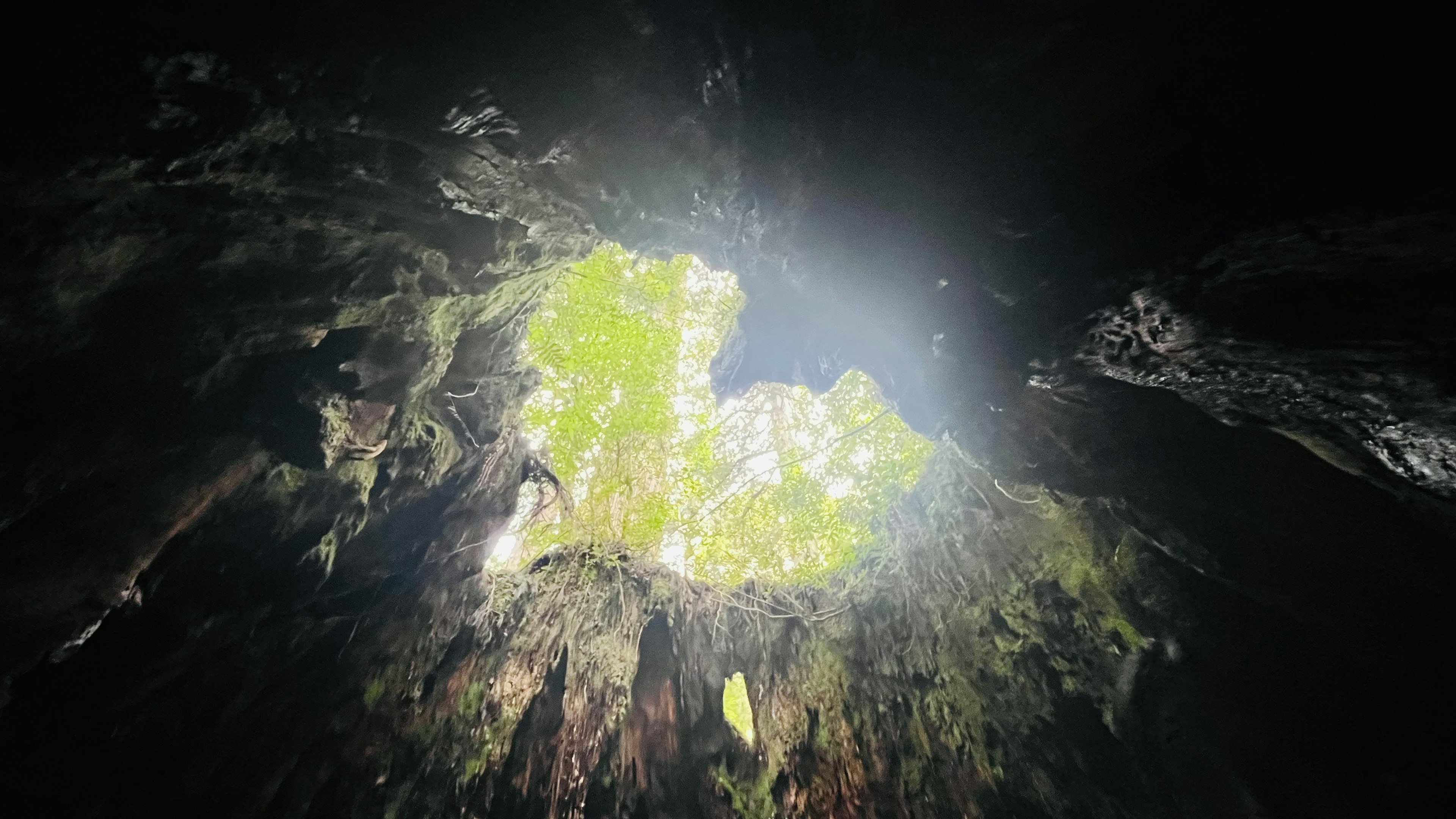 An image showing a green island floating in dark water