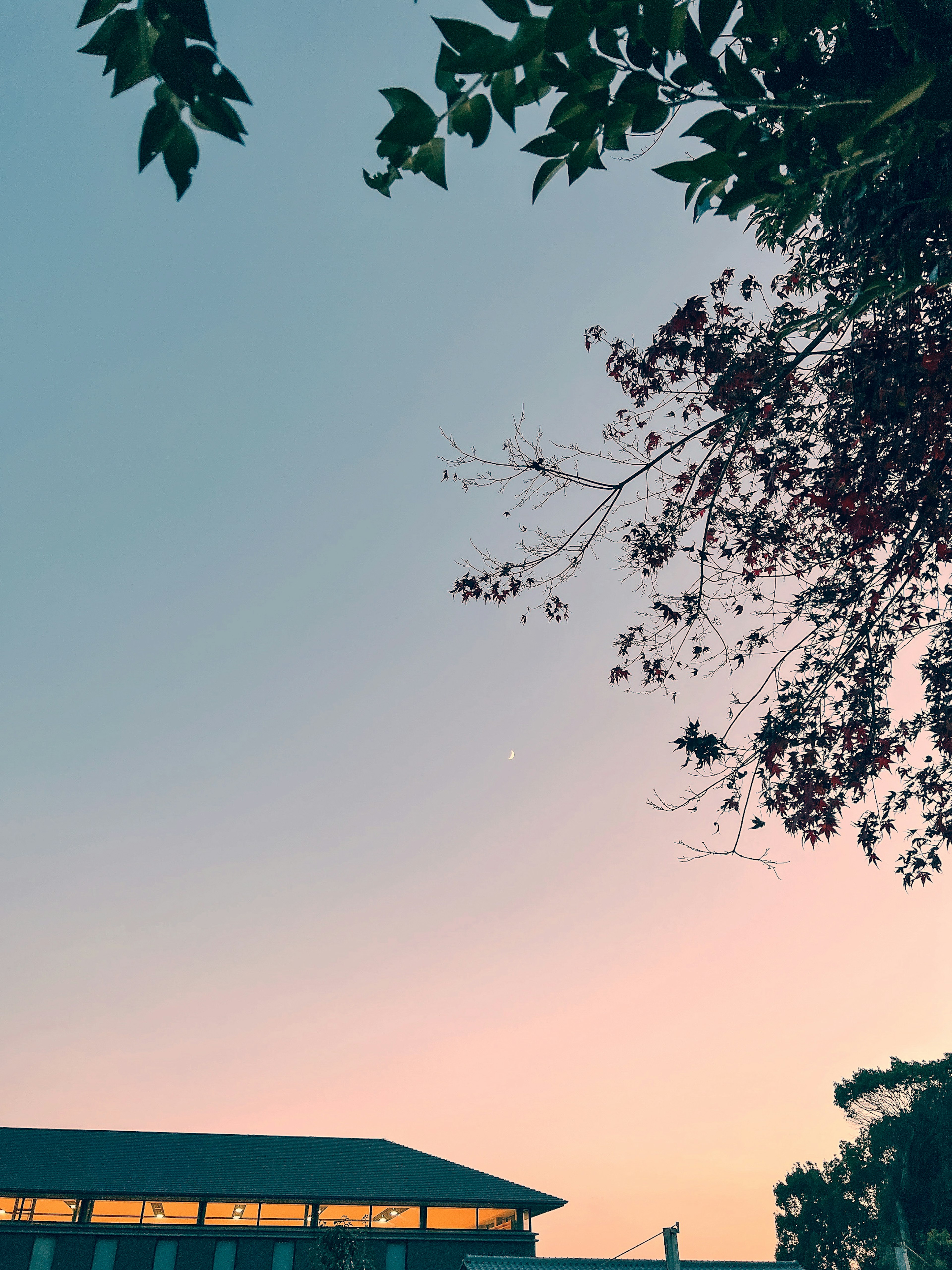 Cielo al atardecer con silueta de edificio y follaje