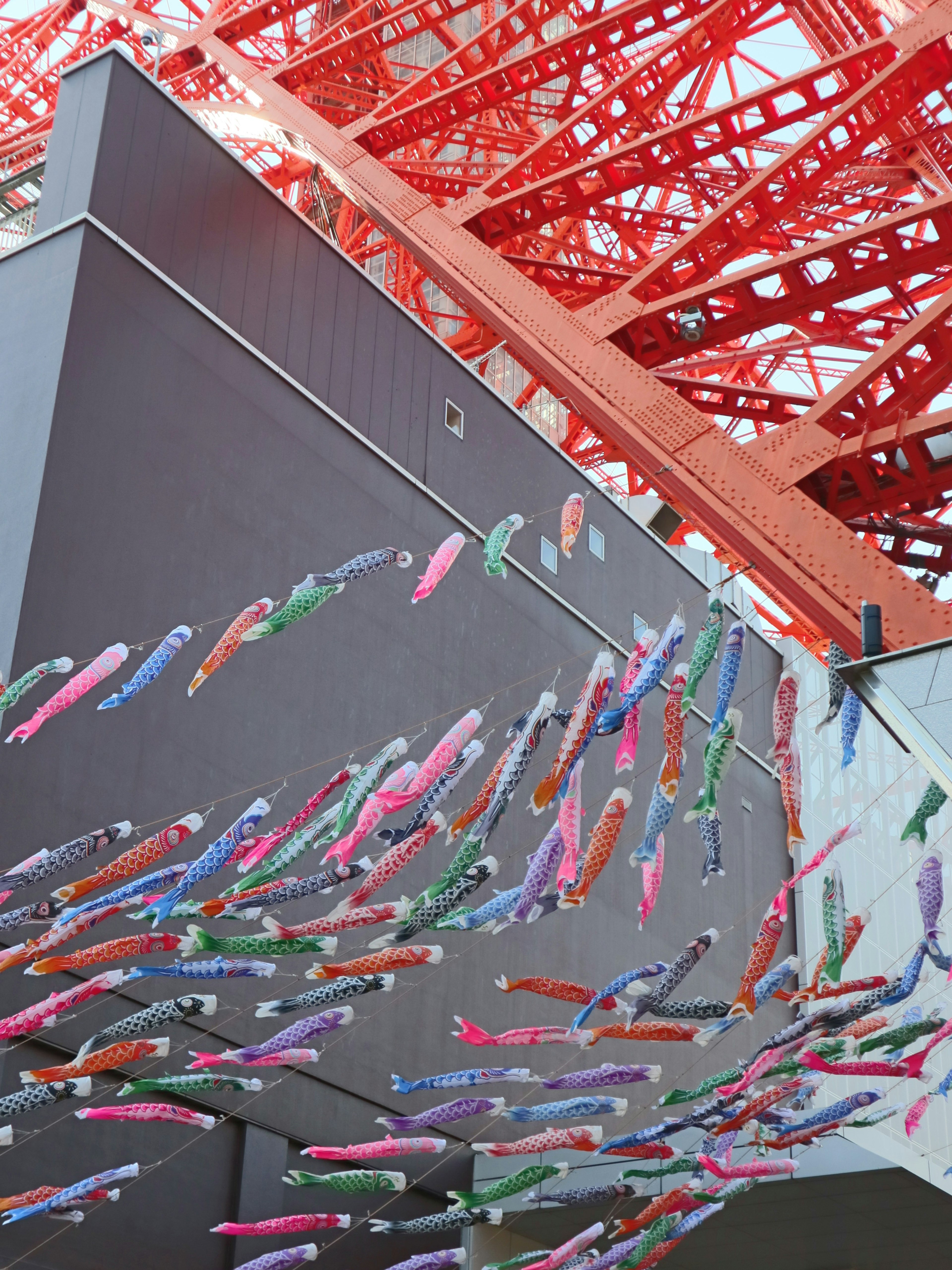 Colorful koi nobori decorations hanging under Tokyo Tower