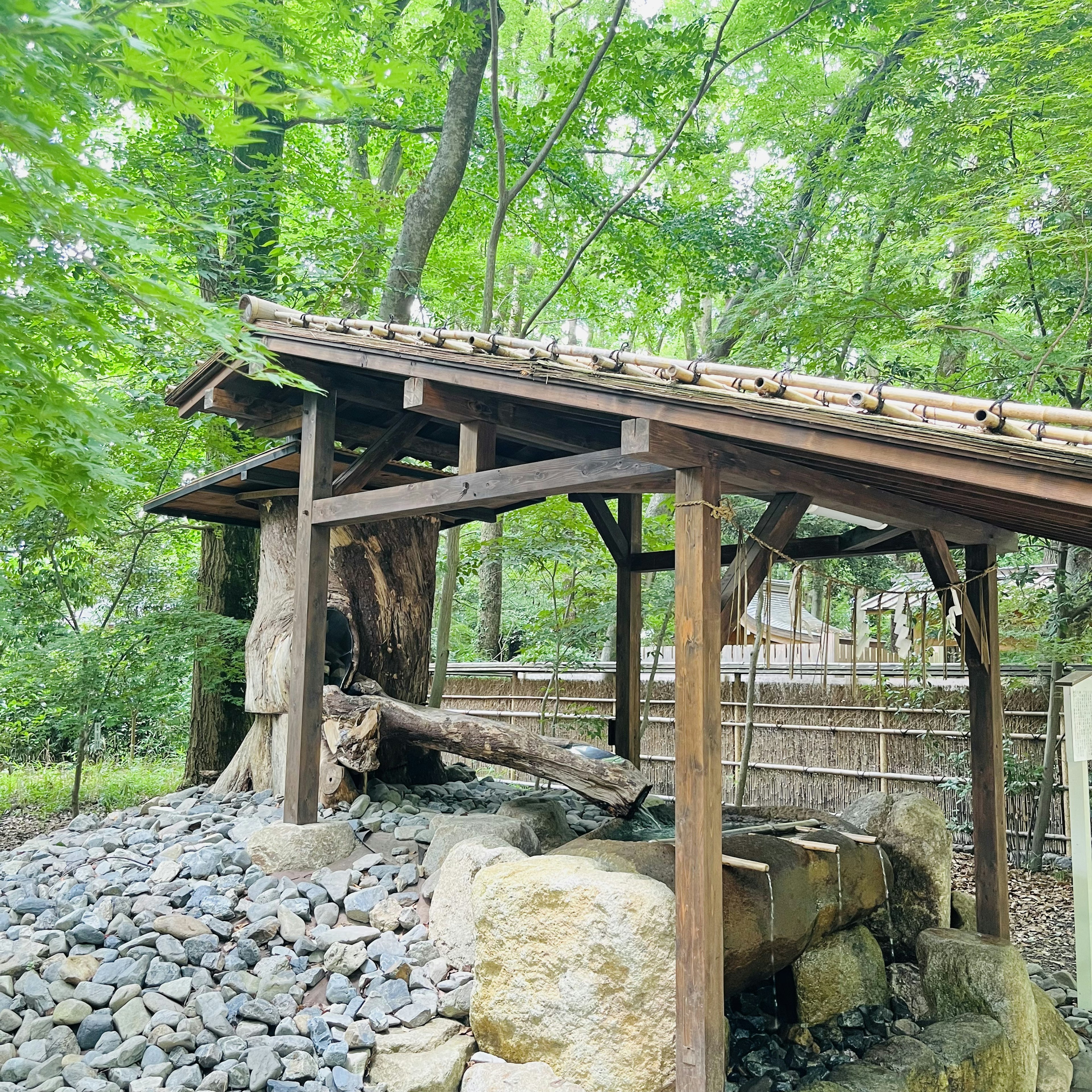 Source d'eau sous un toit en bois entourée de verdure luxuriante