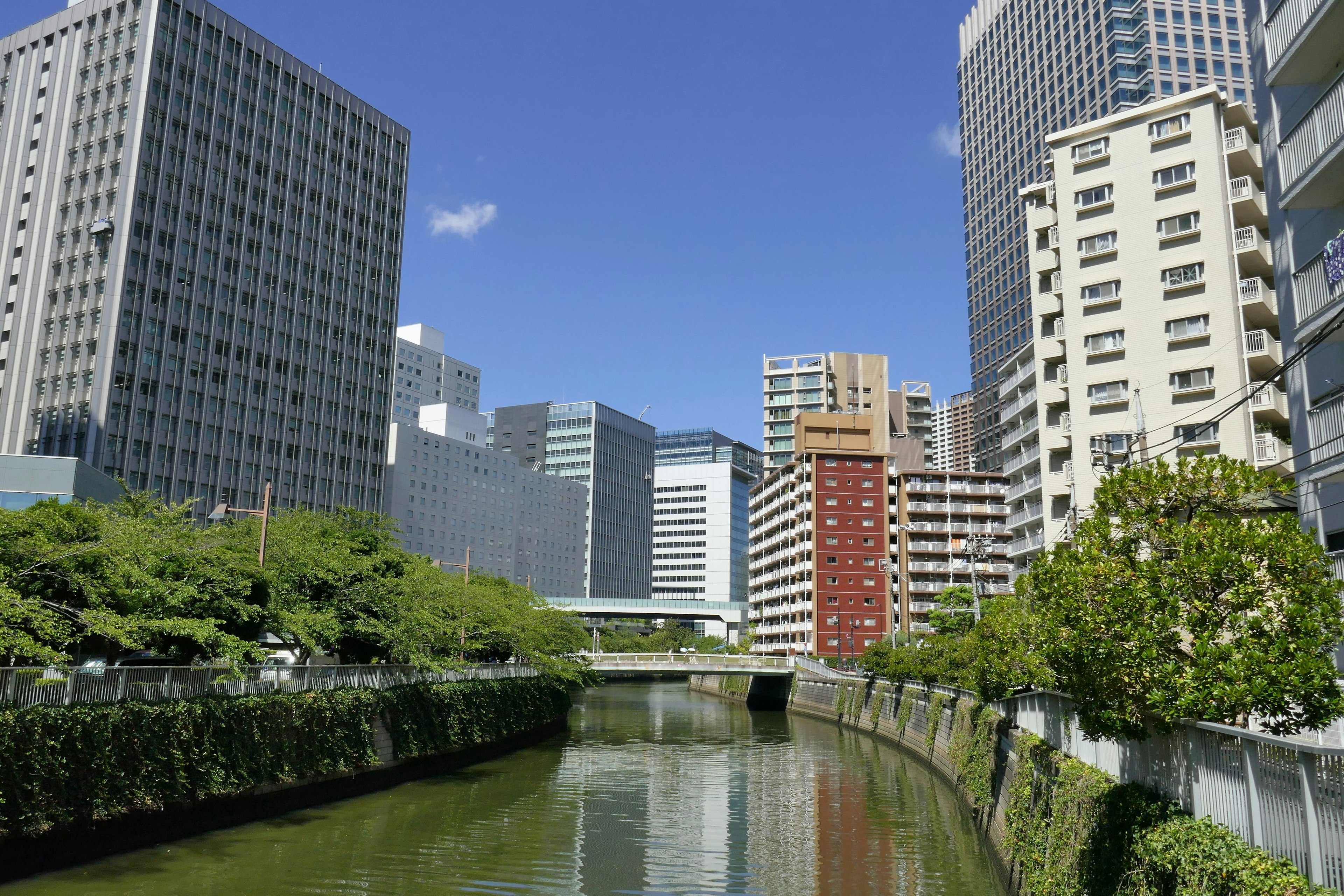 高層ビルに囲まれた川の風景青空と緑の木々が印象的