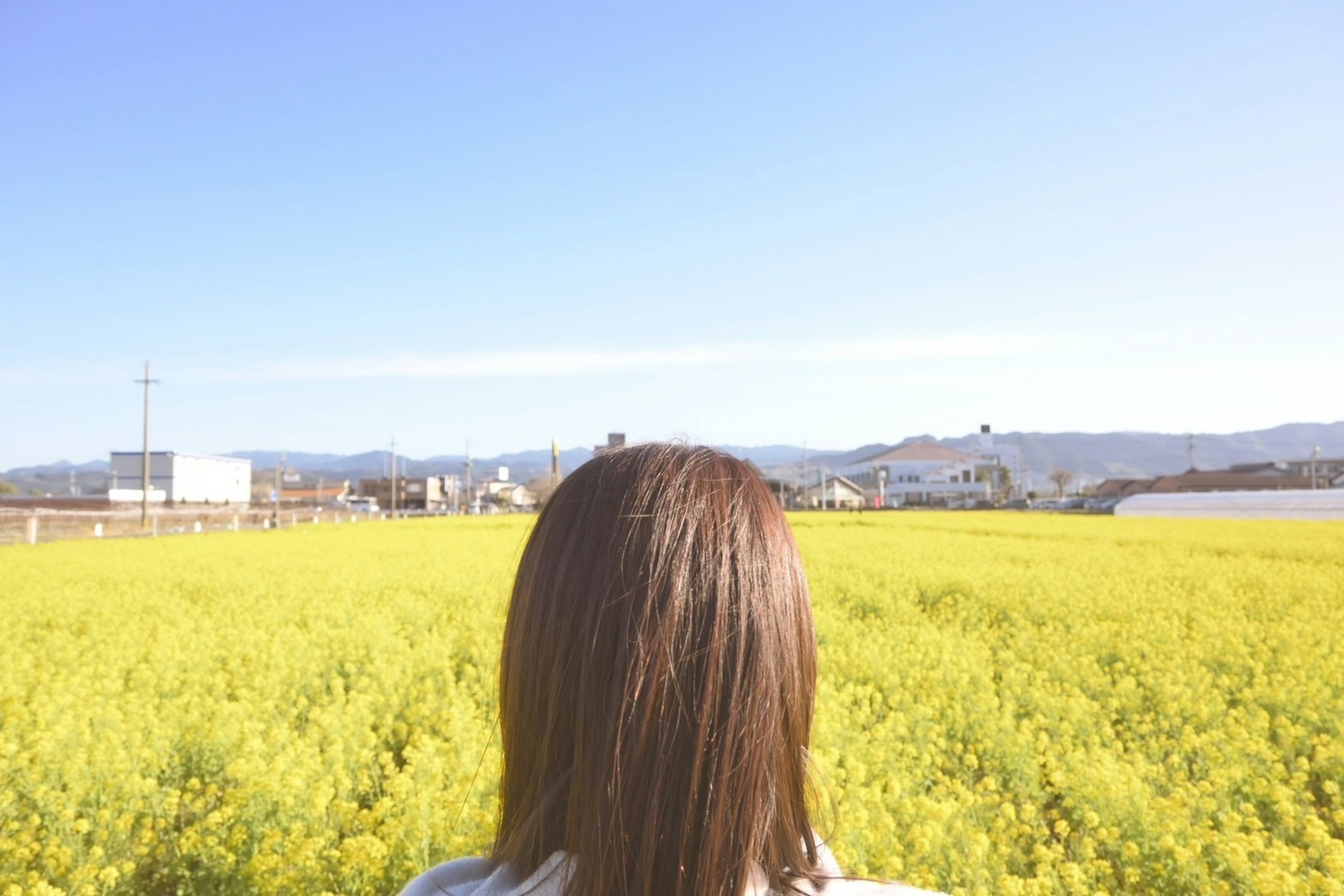 Donna di spalle che guarda un campo di fiori di colza gialli