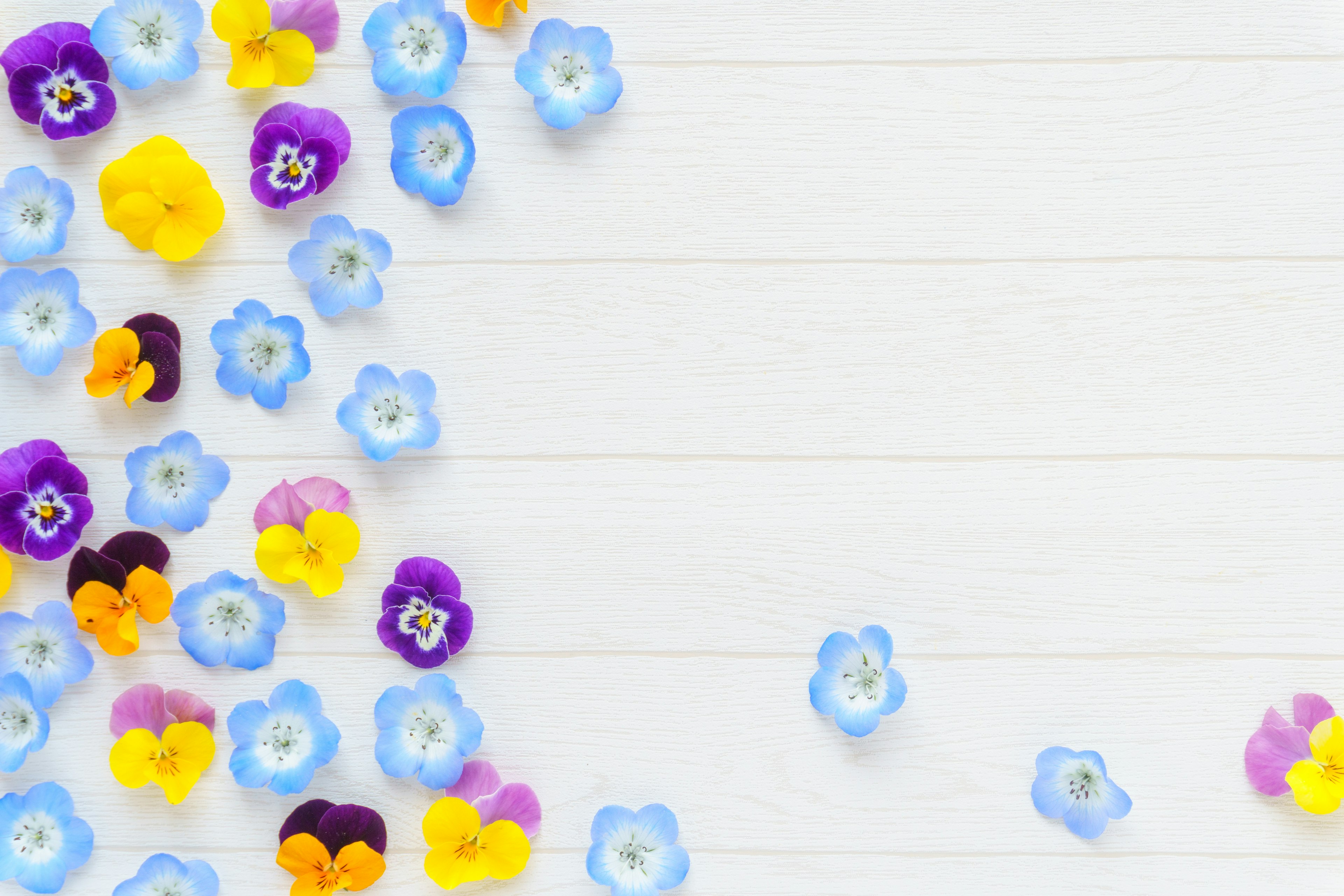 Pequeñas flores coloridas esparcidas sobre una mesa de madera blanca