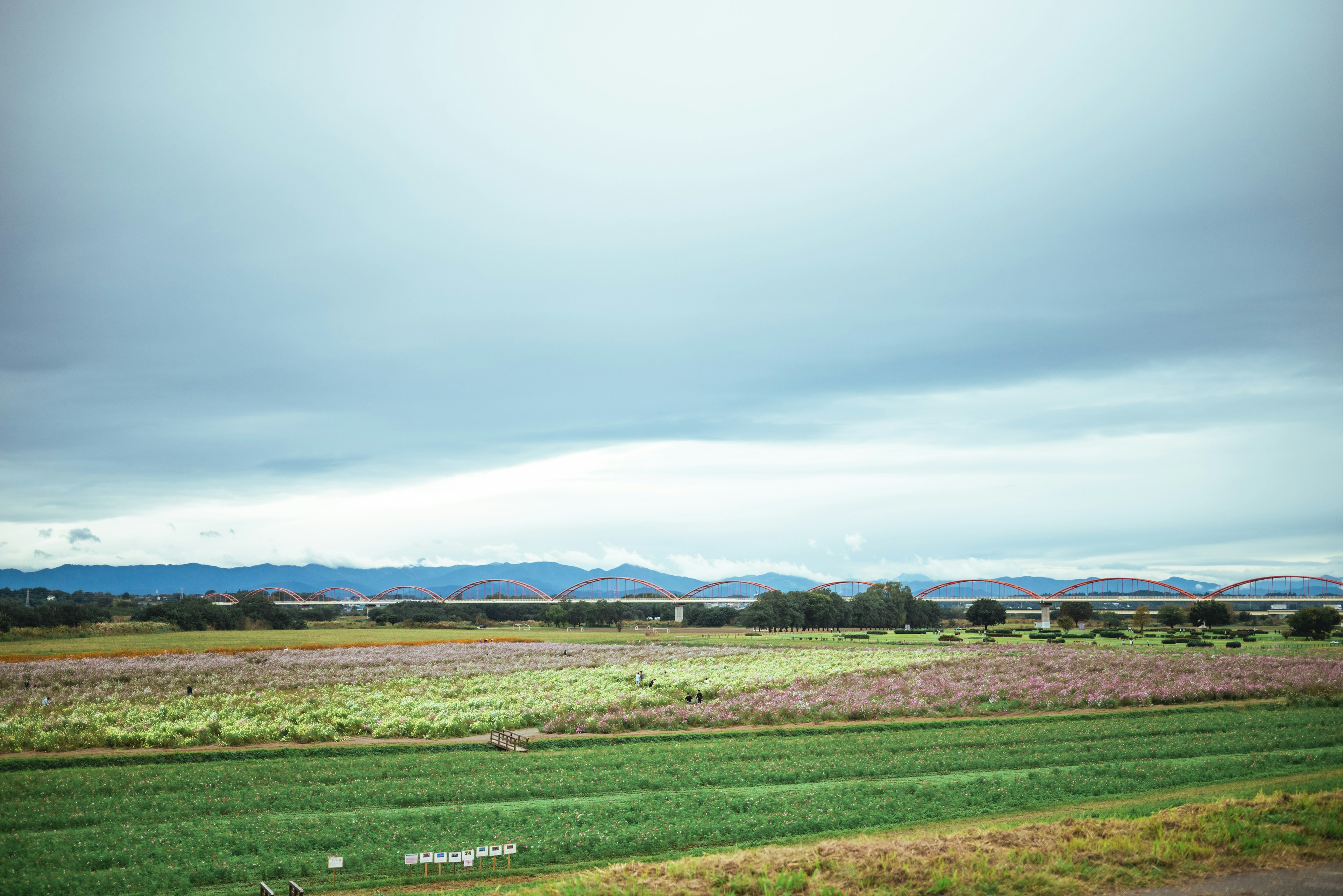 広がる草原と遠くの山々が見える風景