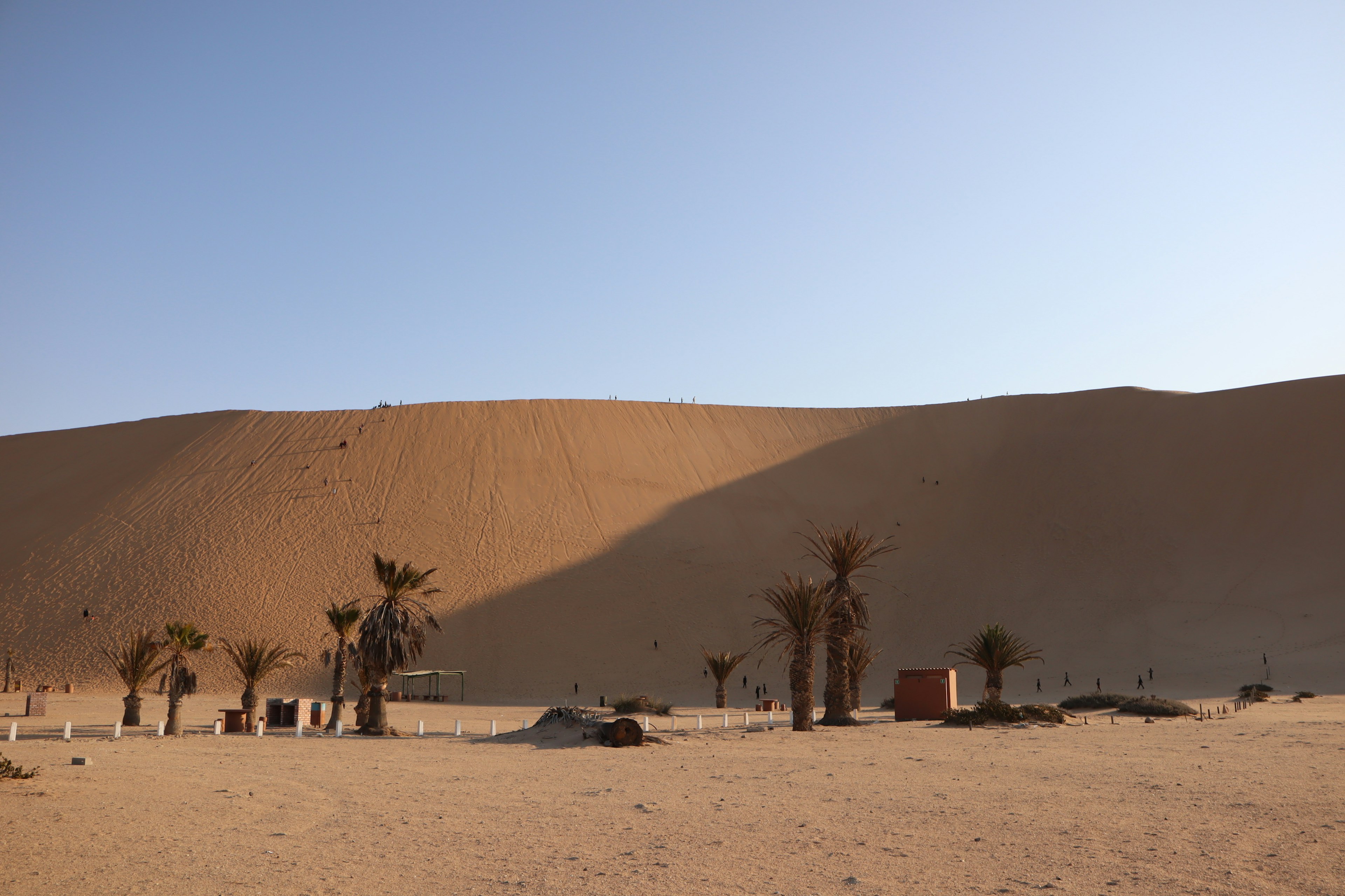 Paisaje desértico con dunas de arena y palmeras