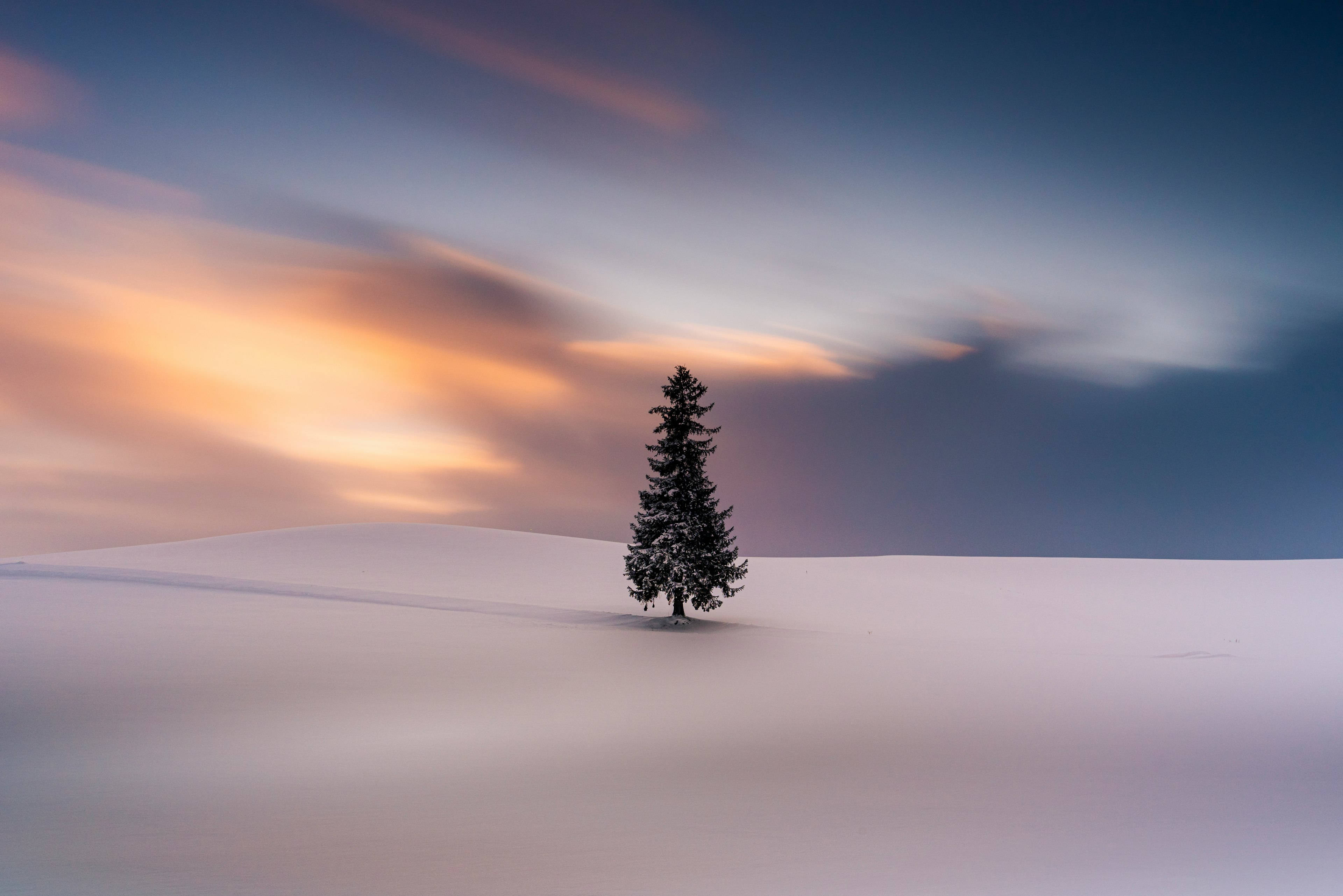 Un árbol solitario en un paisaje cubierto de nieve con un cielo de atardecer impresionante