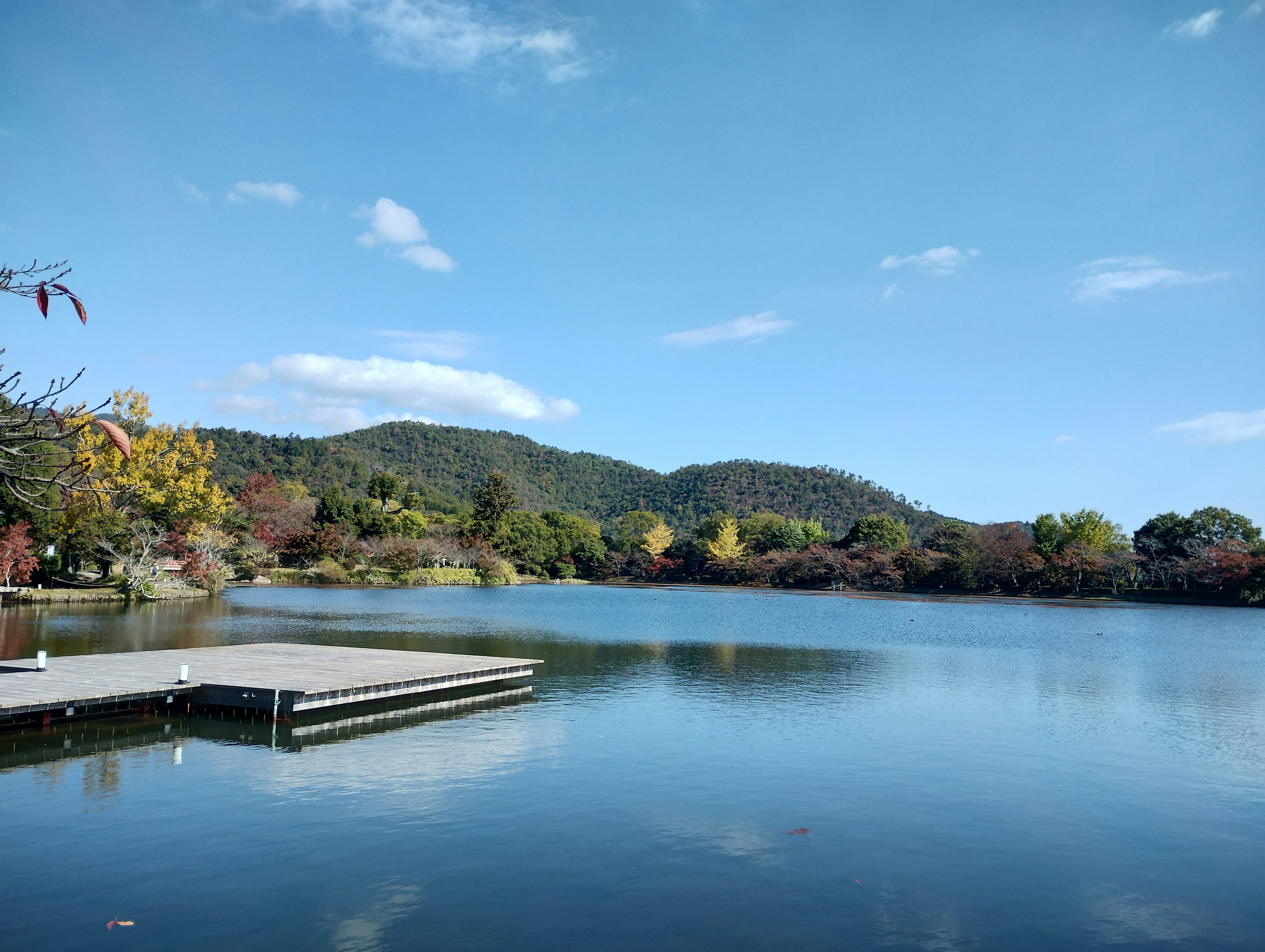 Vista panoramica di un lago tranquillo circondato da fogliame autunnale colorato