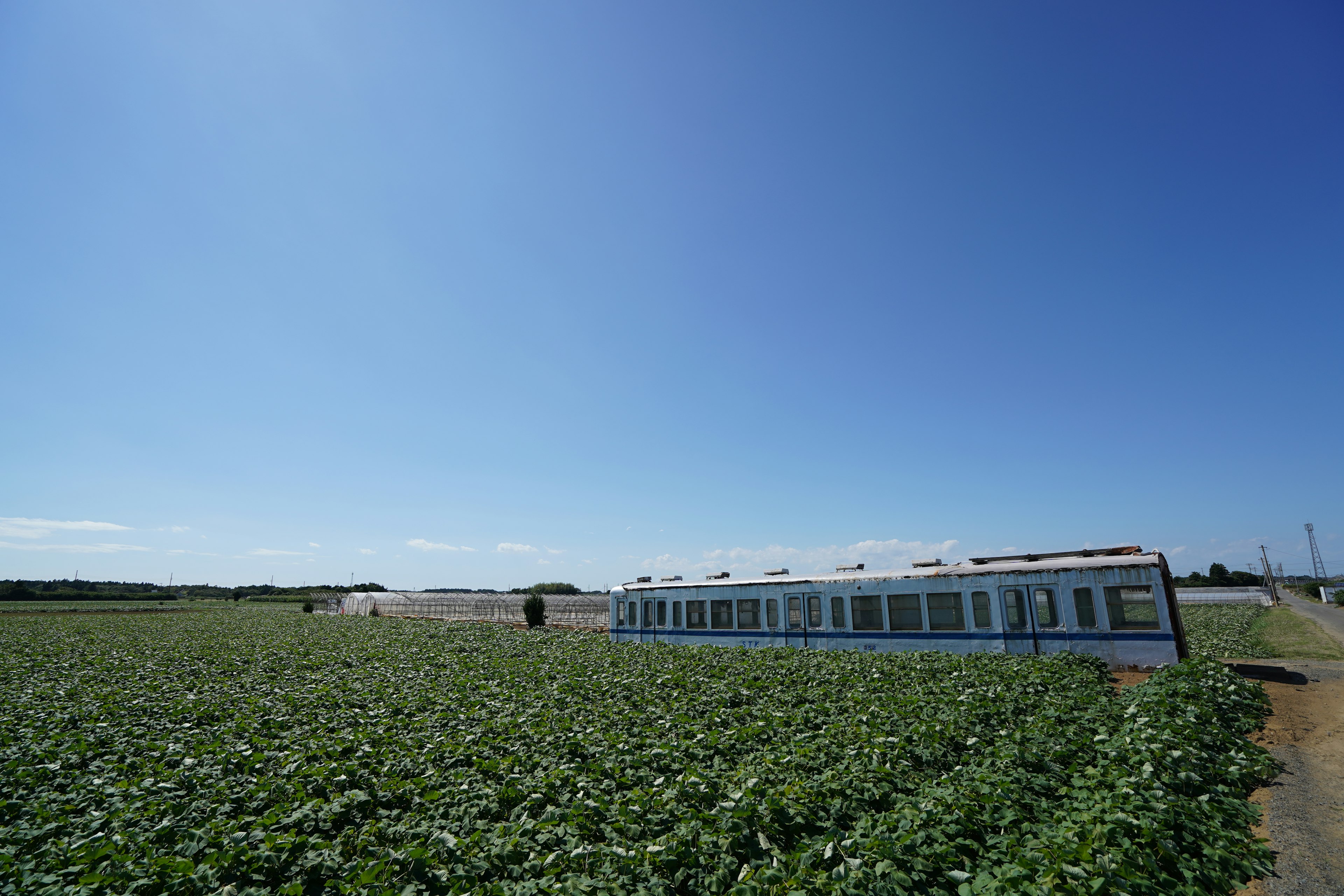 Un train couché dans un champ vert sous un ciel bleu