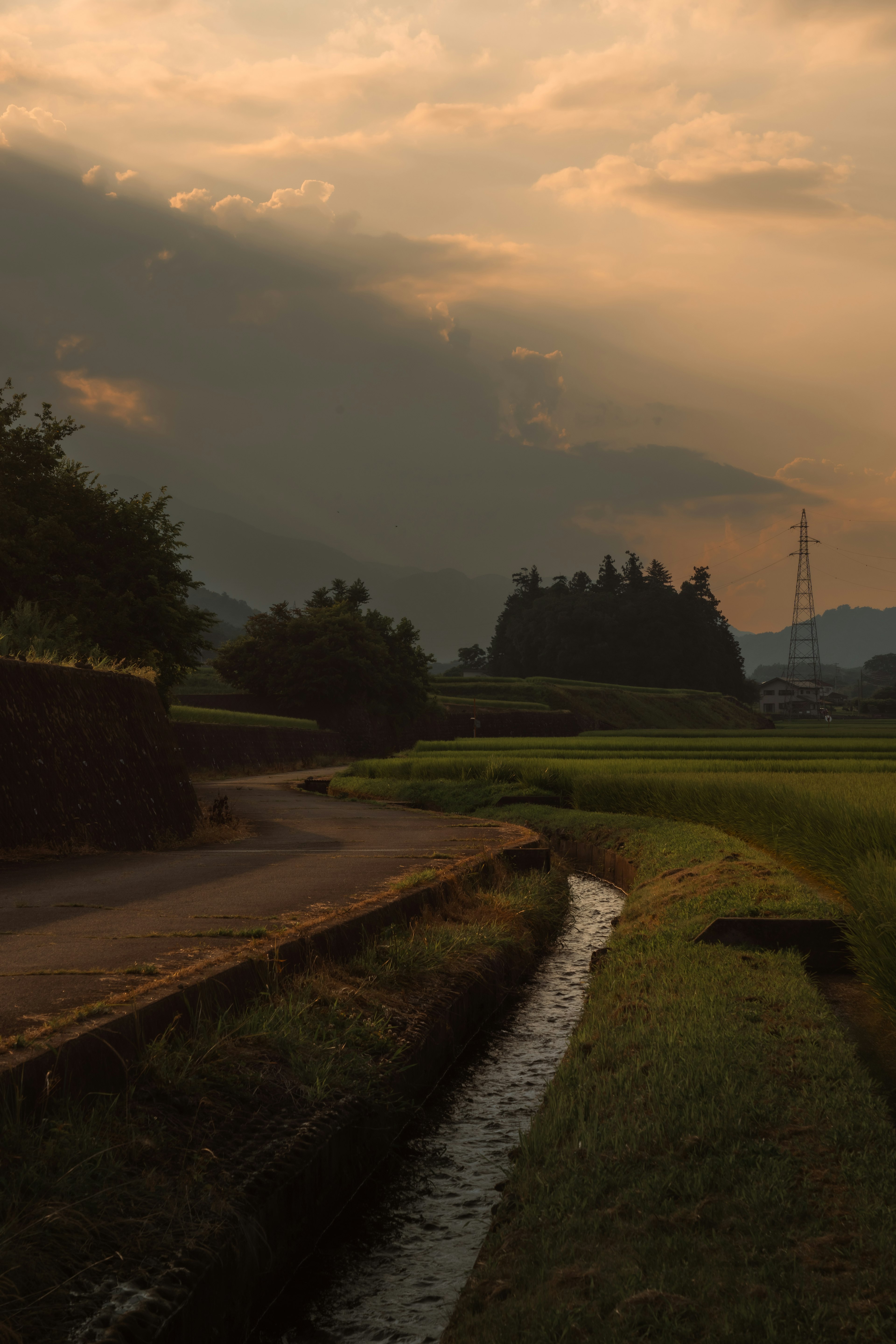 Ruhige ländliche Landschaft mit Sonnenuntergangs Himmel und gewundener Straße