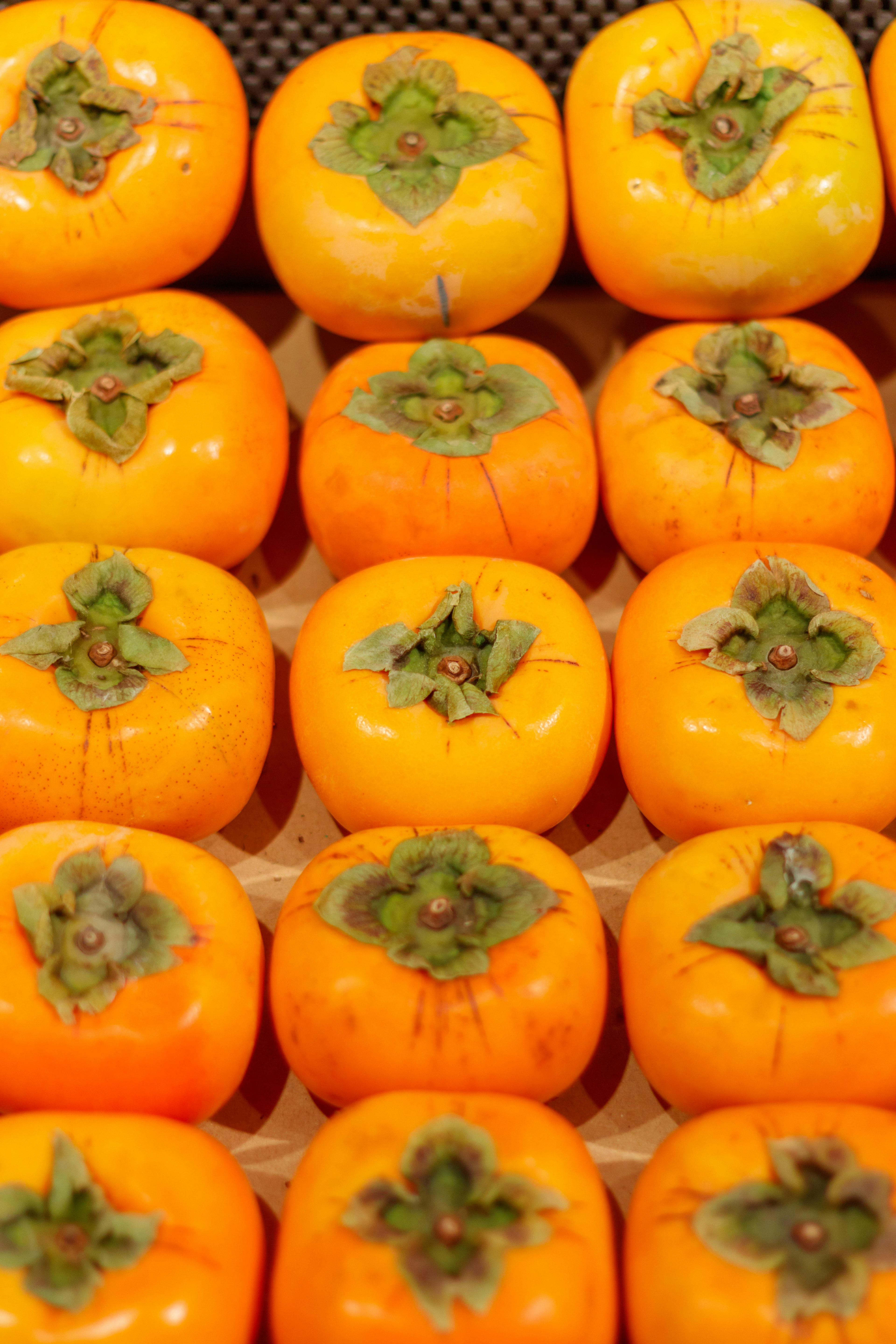 Vibrant orange persimmons neatly arranged in rows