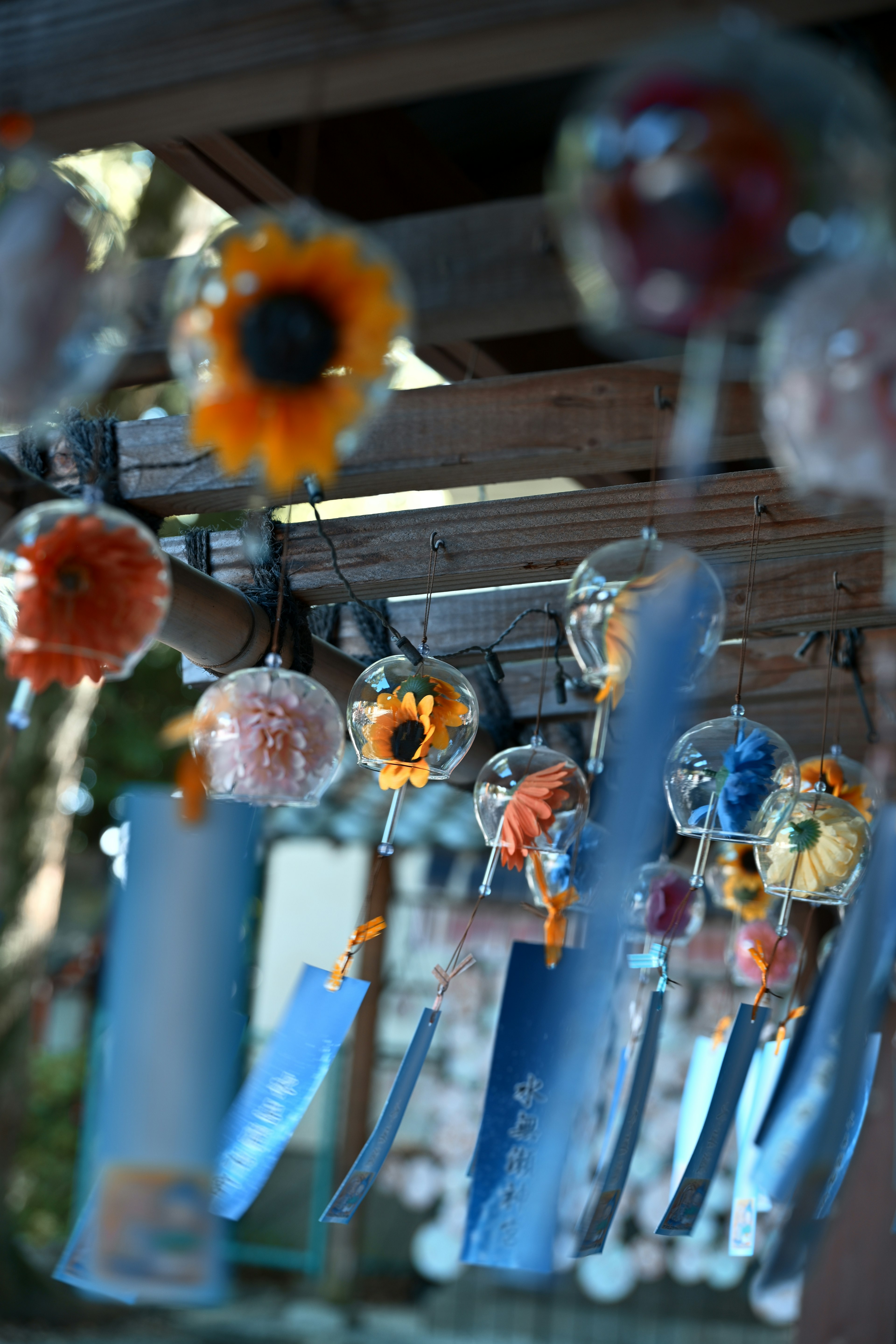 Colorful wind chimes hanging in an outdoor setting