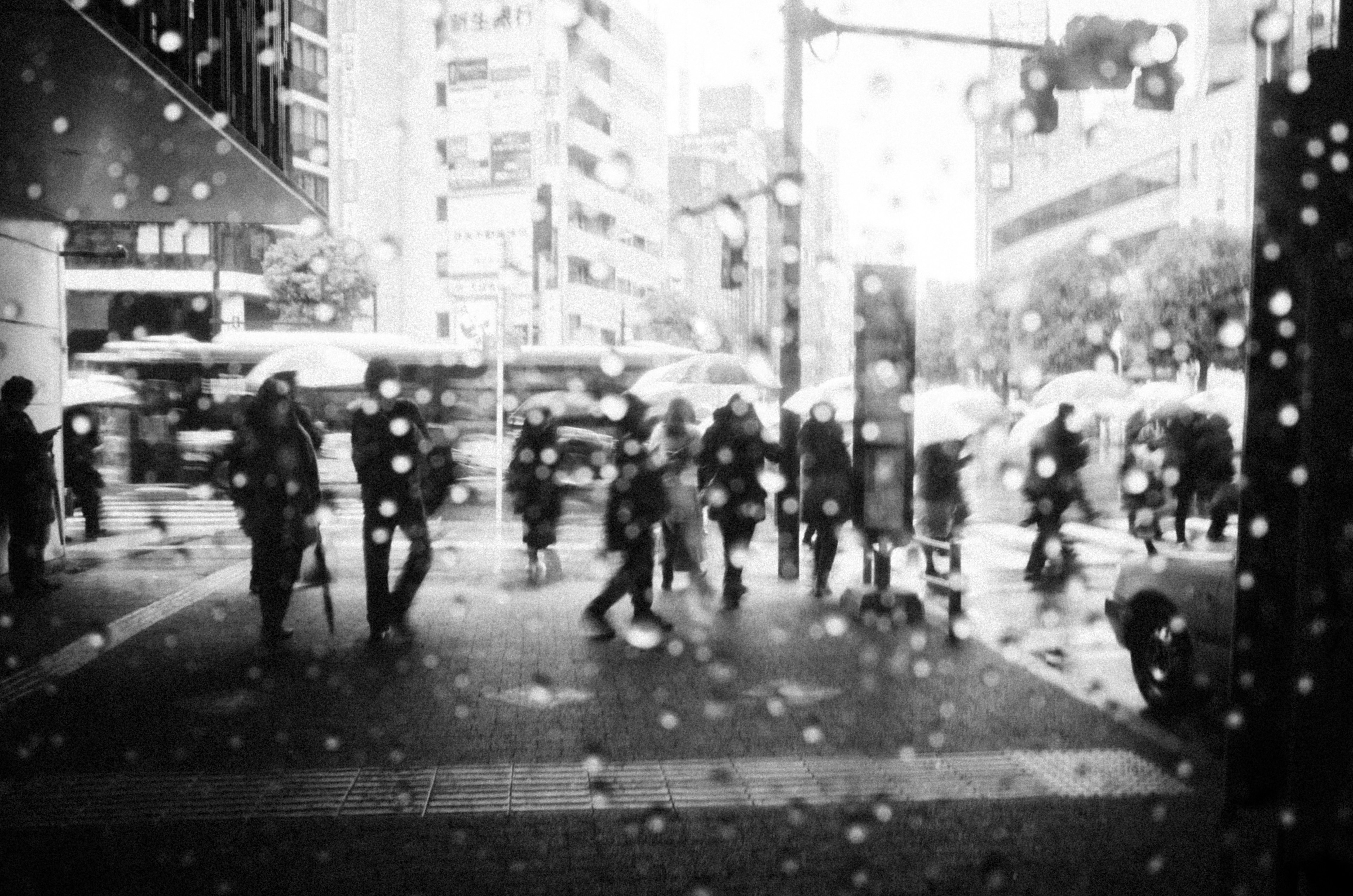 雨の中を歩く人々と交通信号が見えるモノクロの都市風景