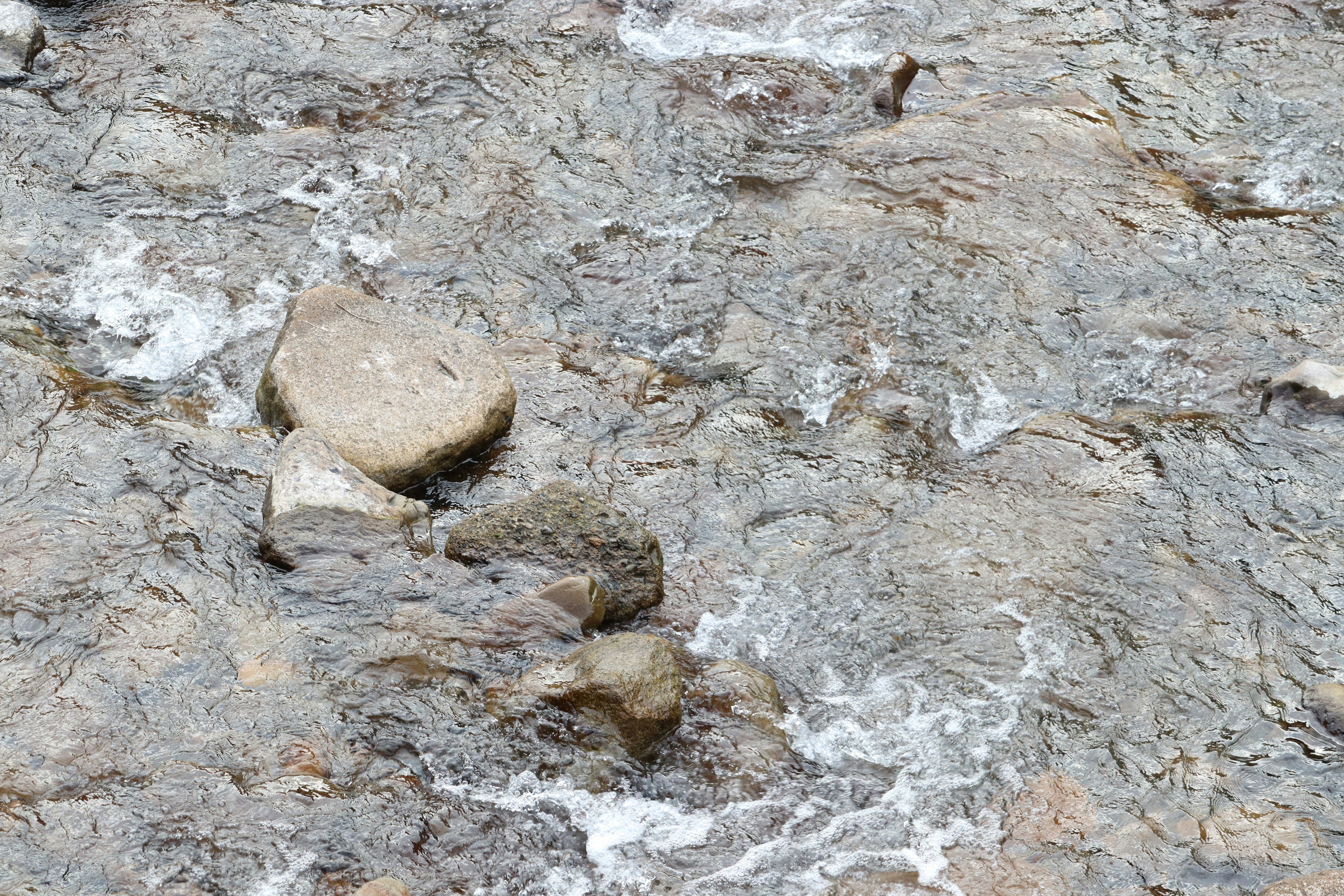 A landscape of stones in flowing water