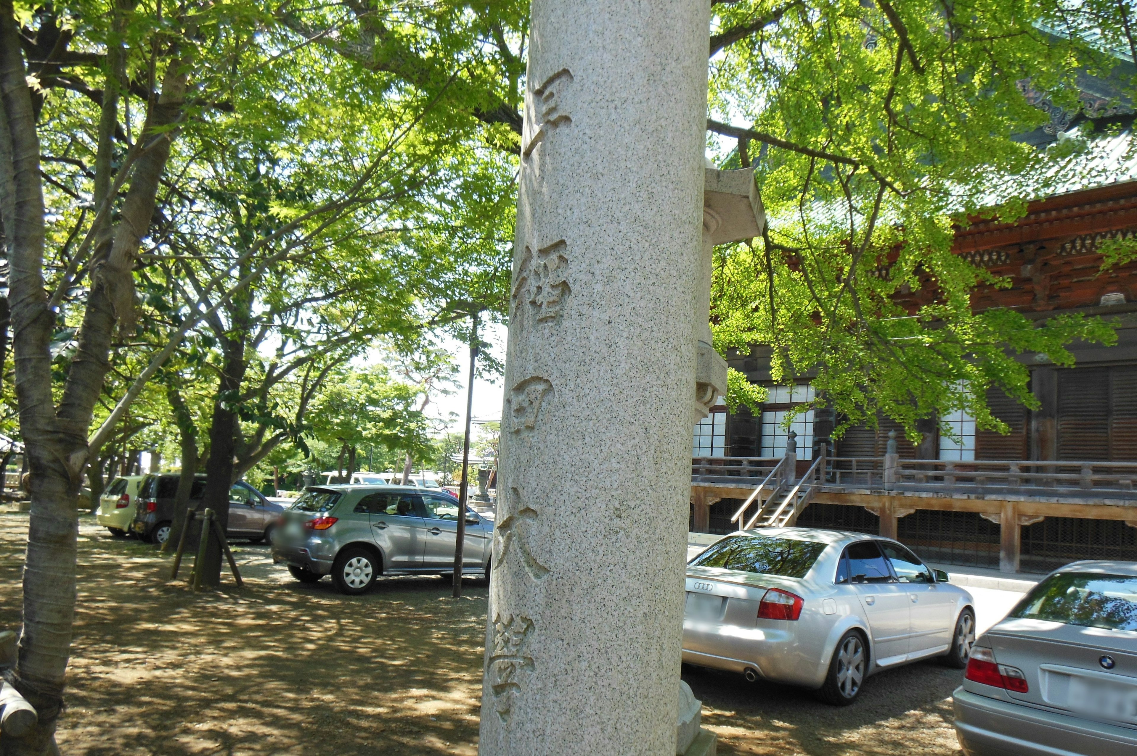 Tree trunk with carved characters and surrounding cars and green trees