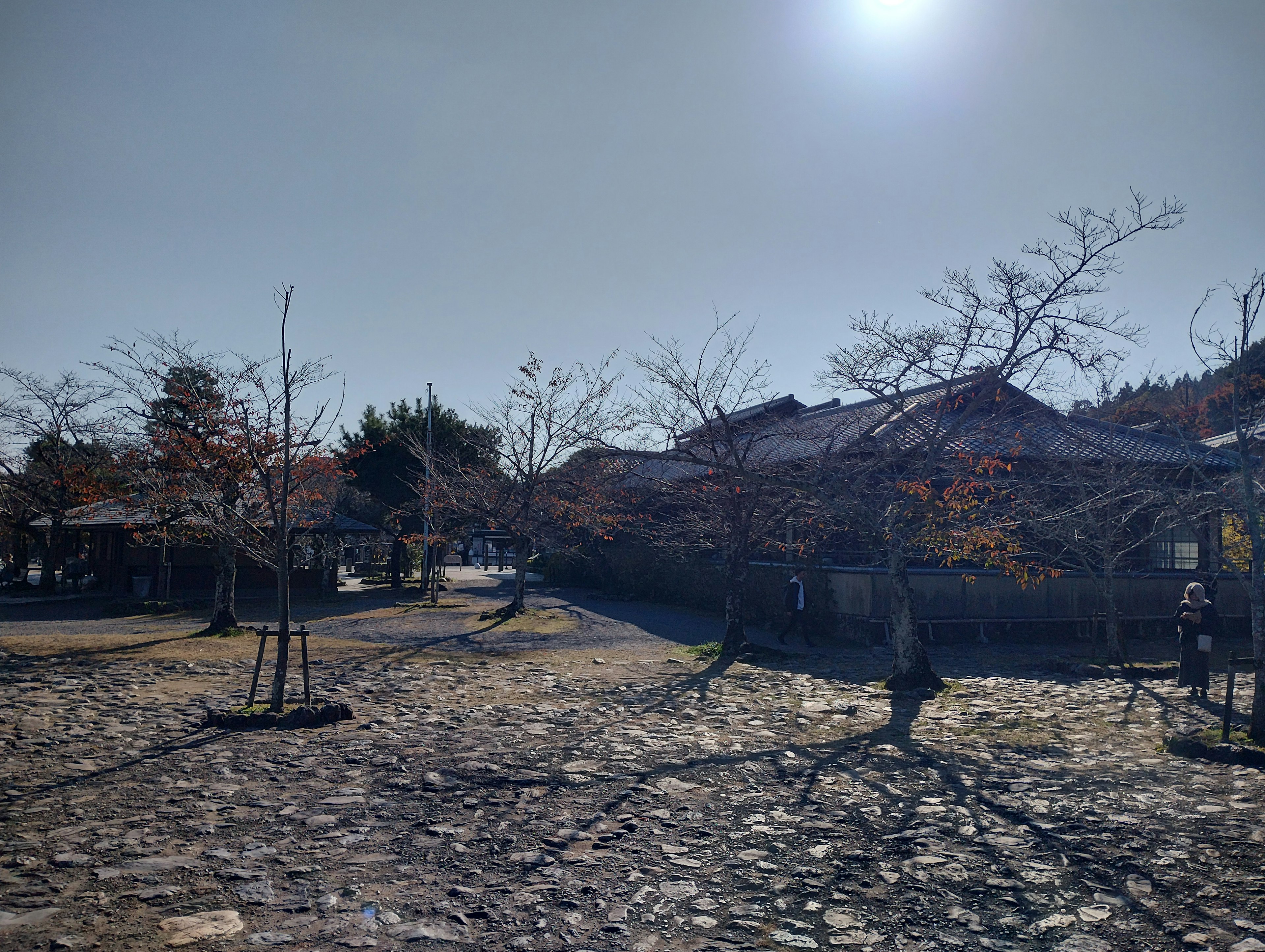 Quiet village scene with shadows of trees under the evening sun