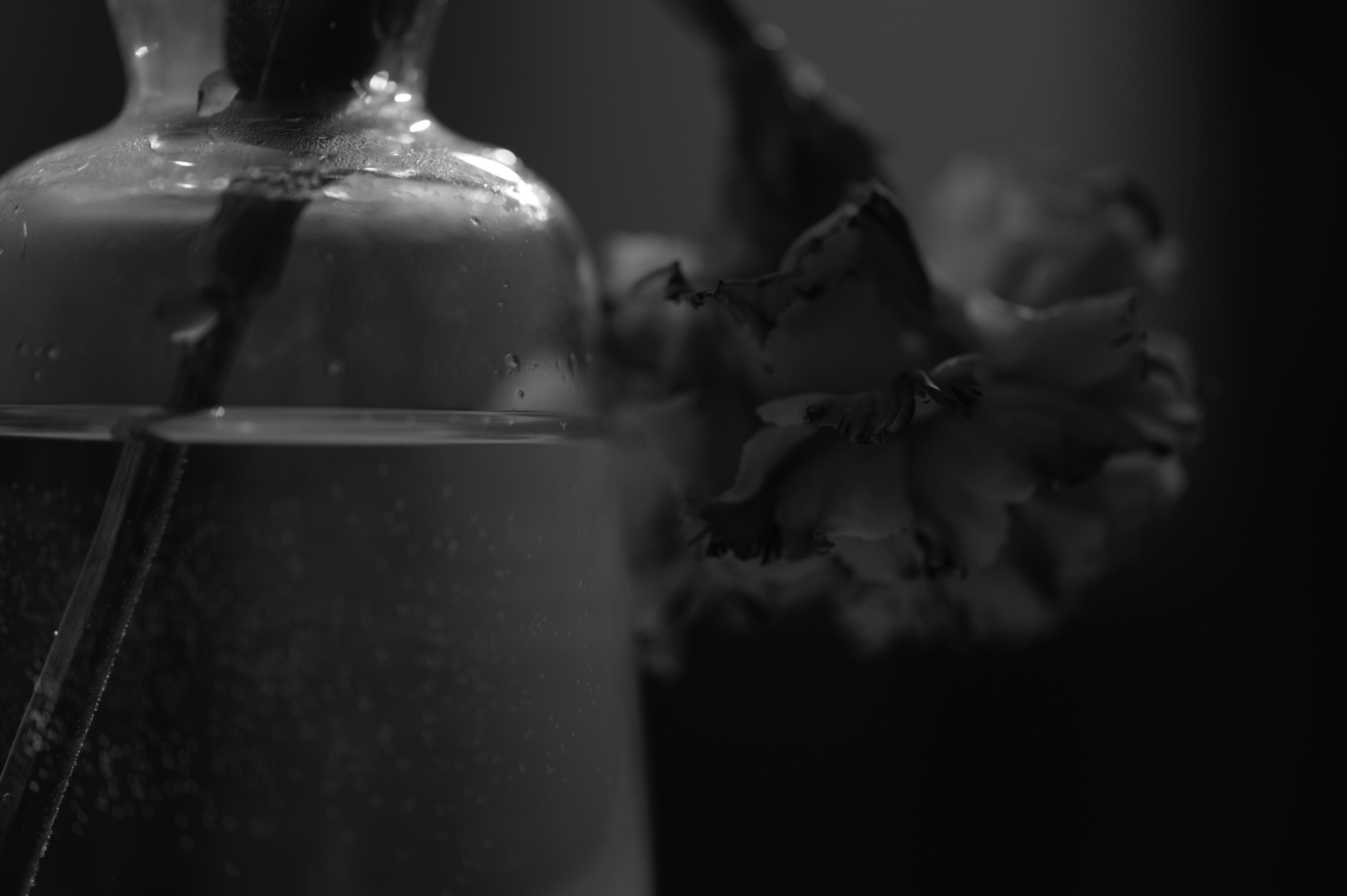 Image en noir et blanc d'un vase avec de l'eau et une fleur