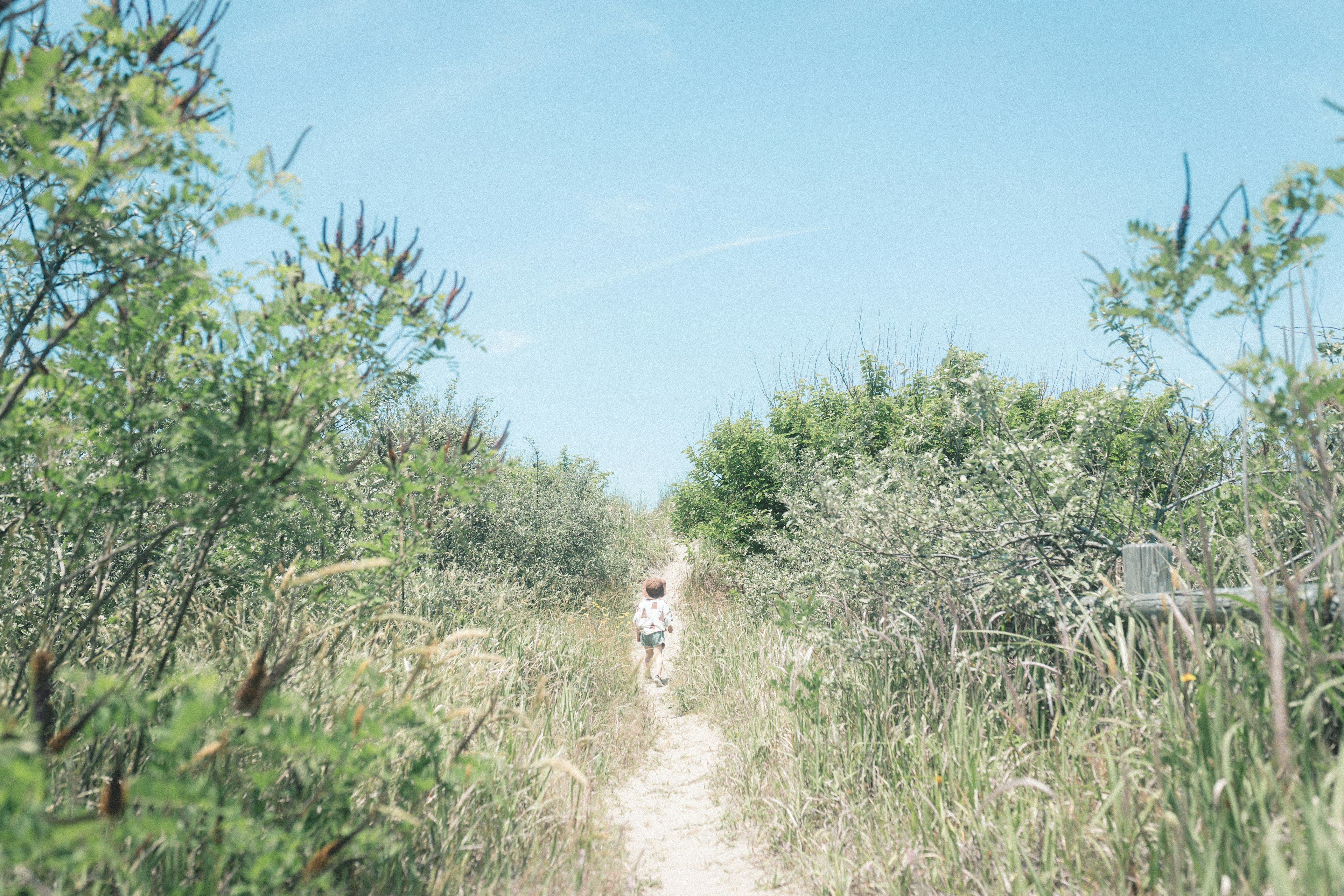 Child walking along a narrow path surrounded by greenery under a blue sky