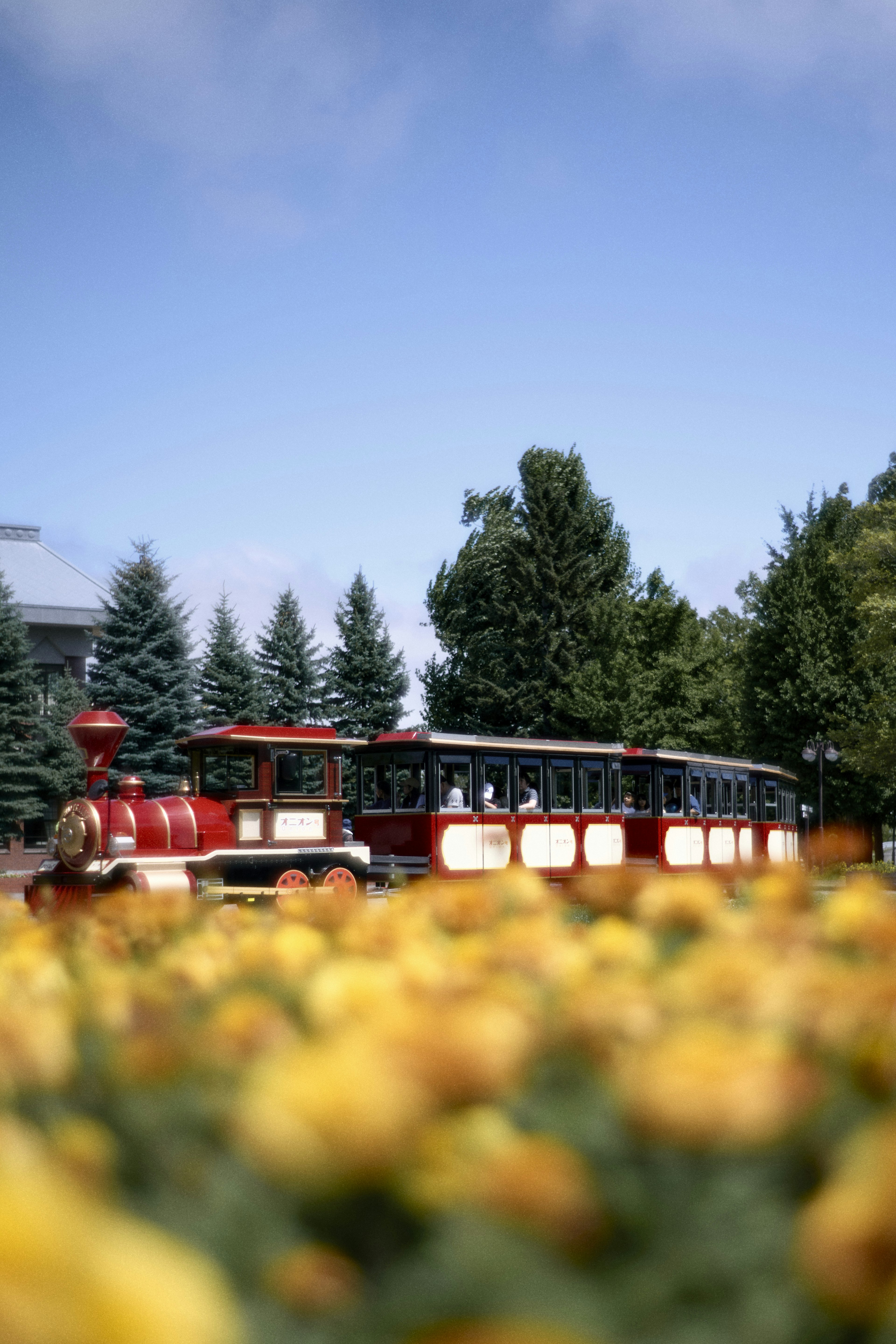 Train touristique rouge dans un parc avec des fleurs colorées