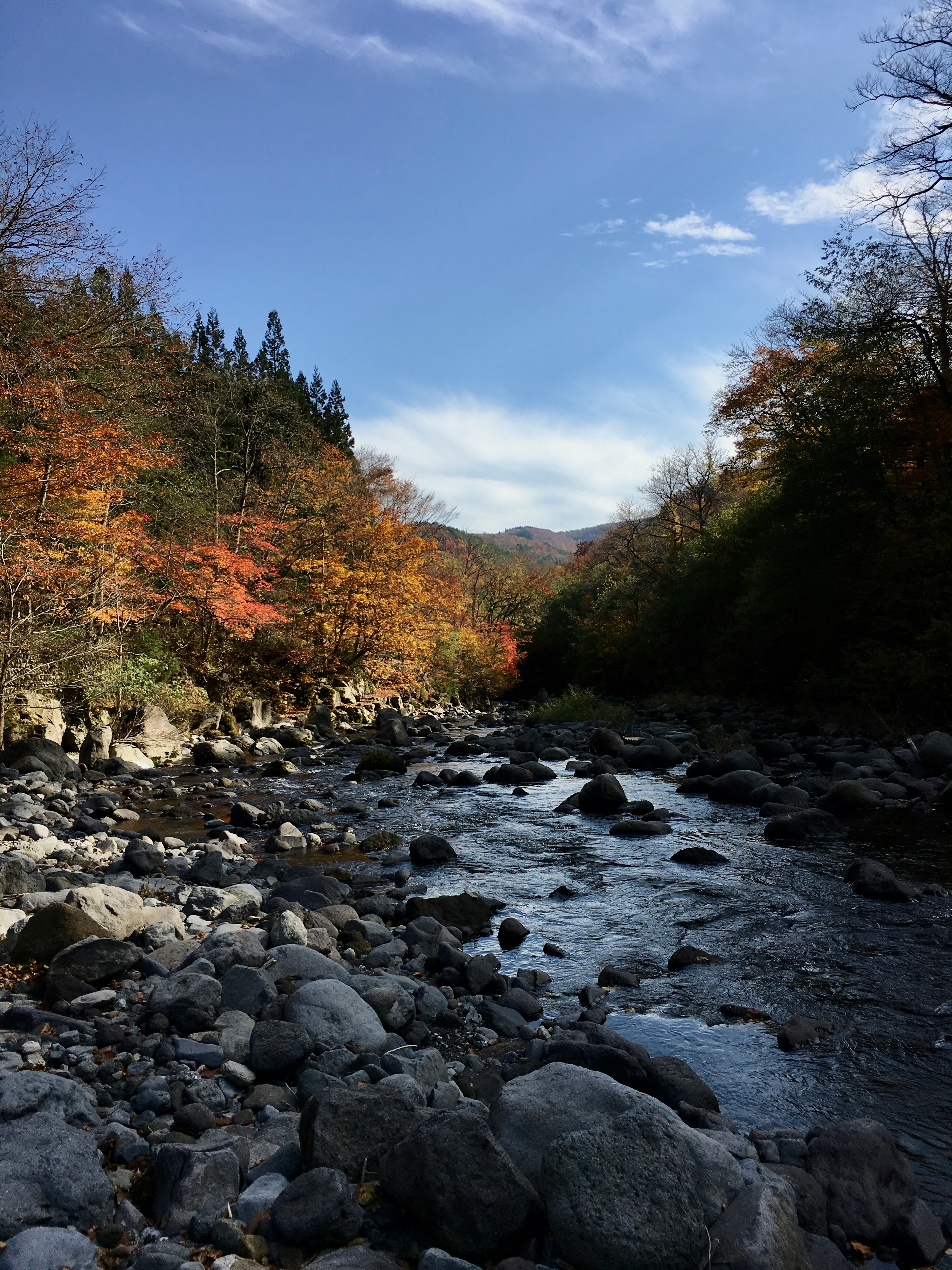 Malersches Flusslandschaft mit Herbstlaub und felsigen Ufern