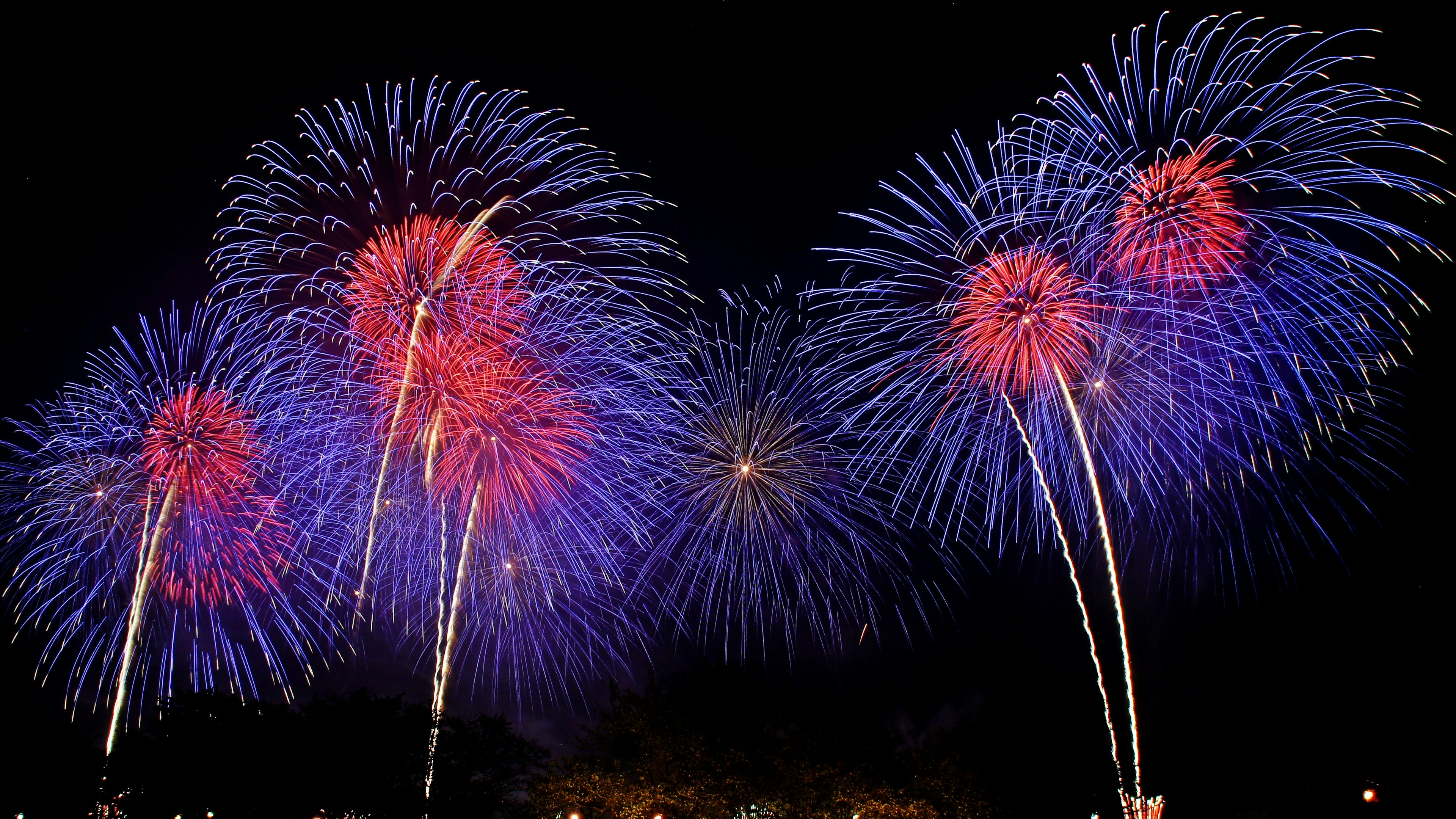 Fuochi d'artificio colorati esplodono nel cielo notturno