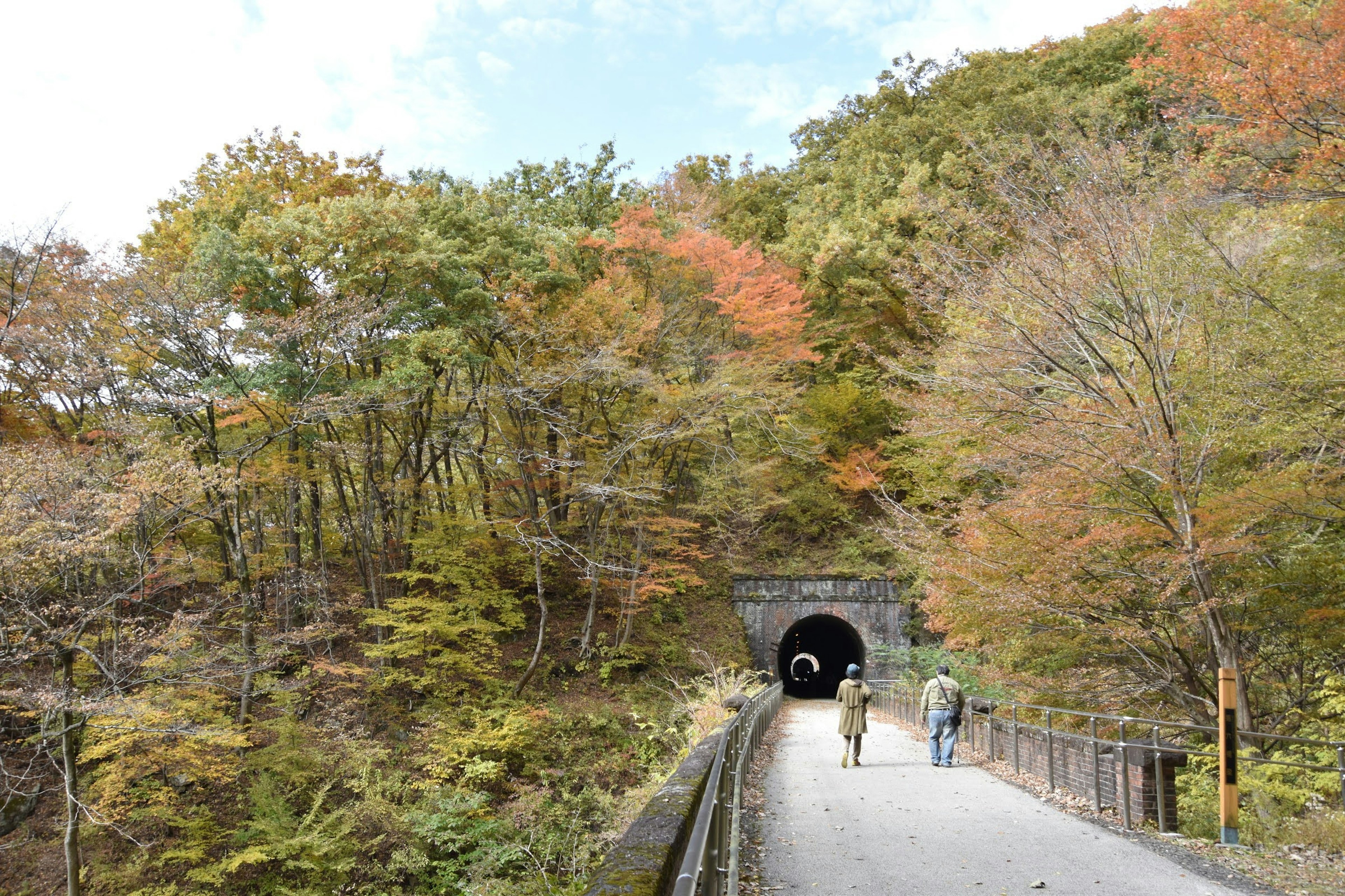 秋の色づいた木々に囲まれたトンネルの入口を歩く人々