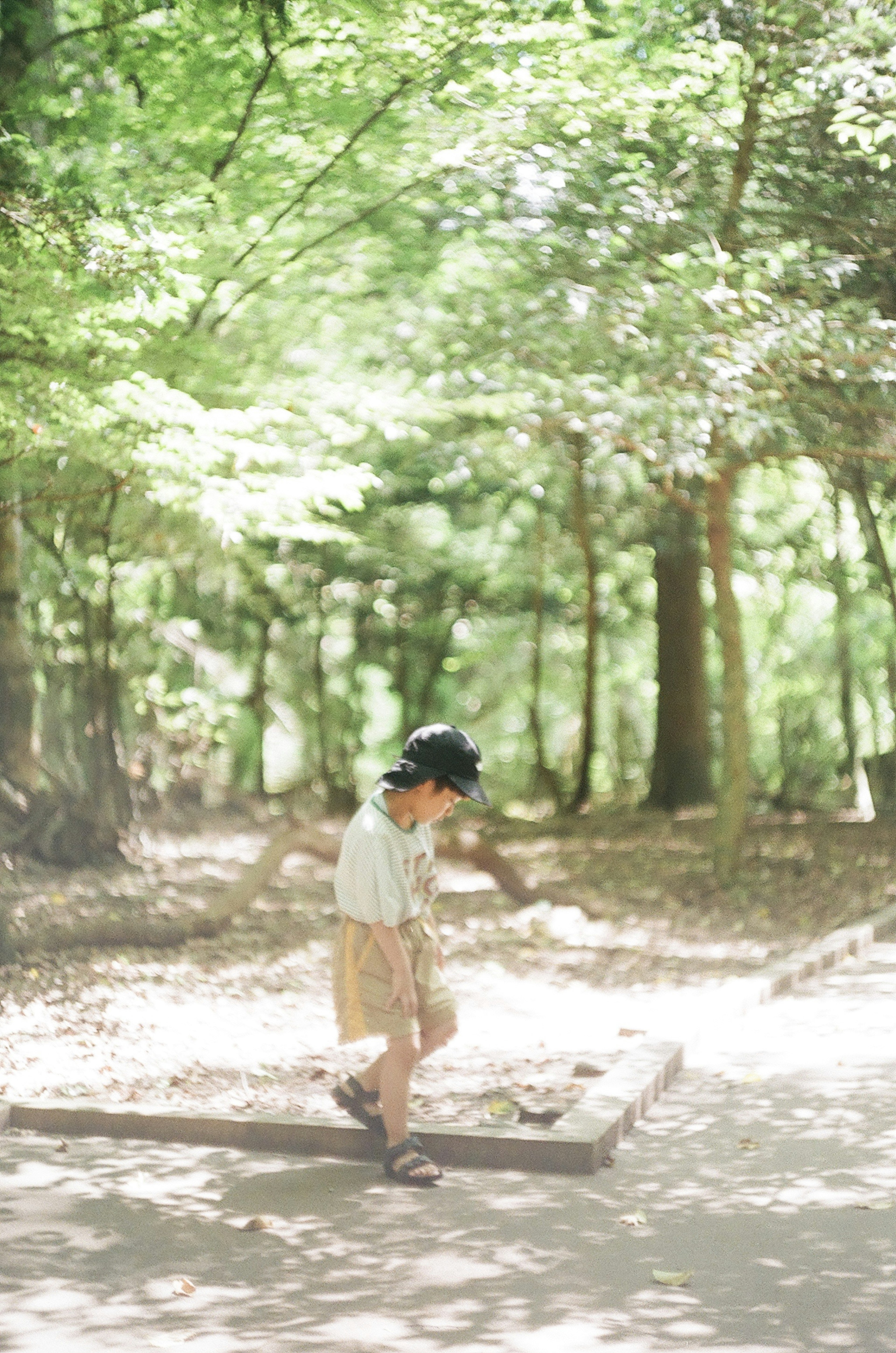 A child playing in a forest surrounded by lush green foliage