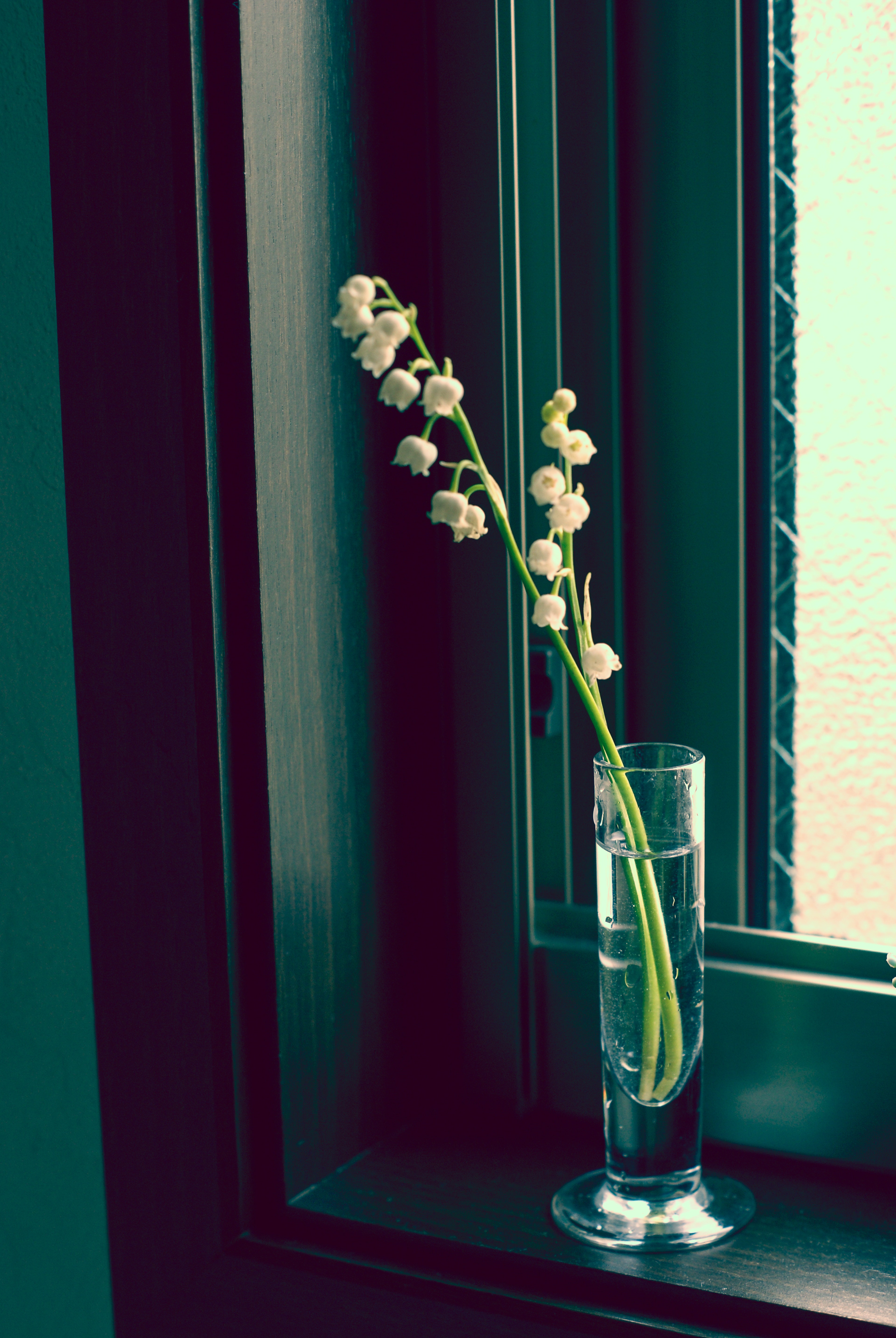 Un verre d'eau avec des fleurs de muguet blanches posé sur le rebord d'une fenêtre