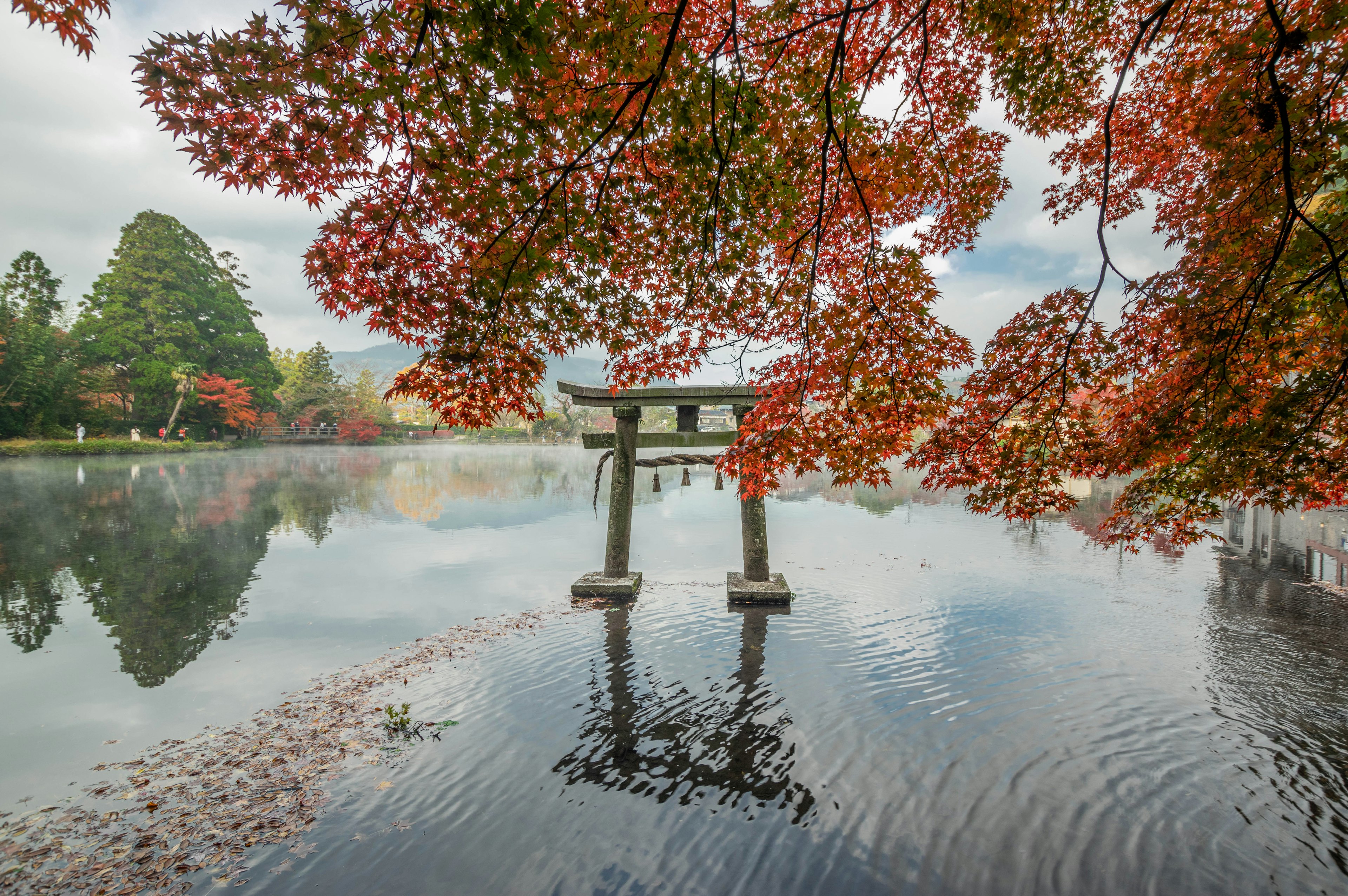 Cổng torii dưới lá mùa thu rực rỡ bên hồ yên tĩnh