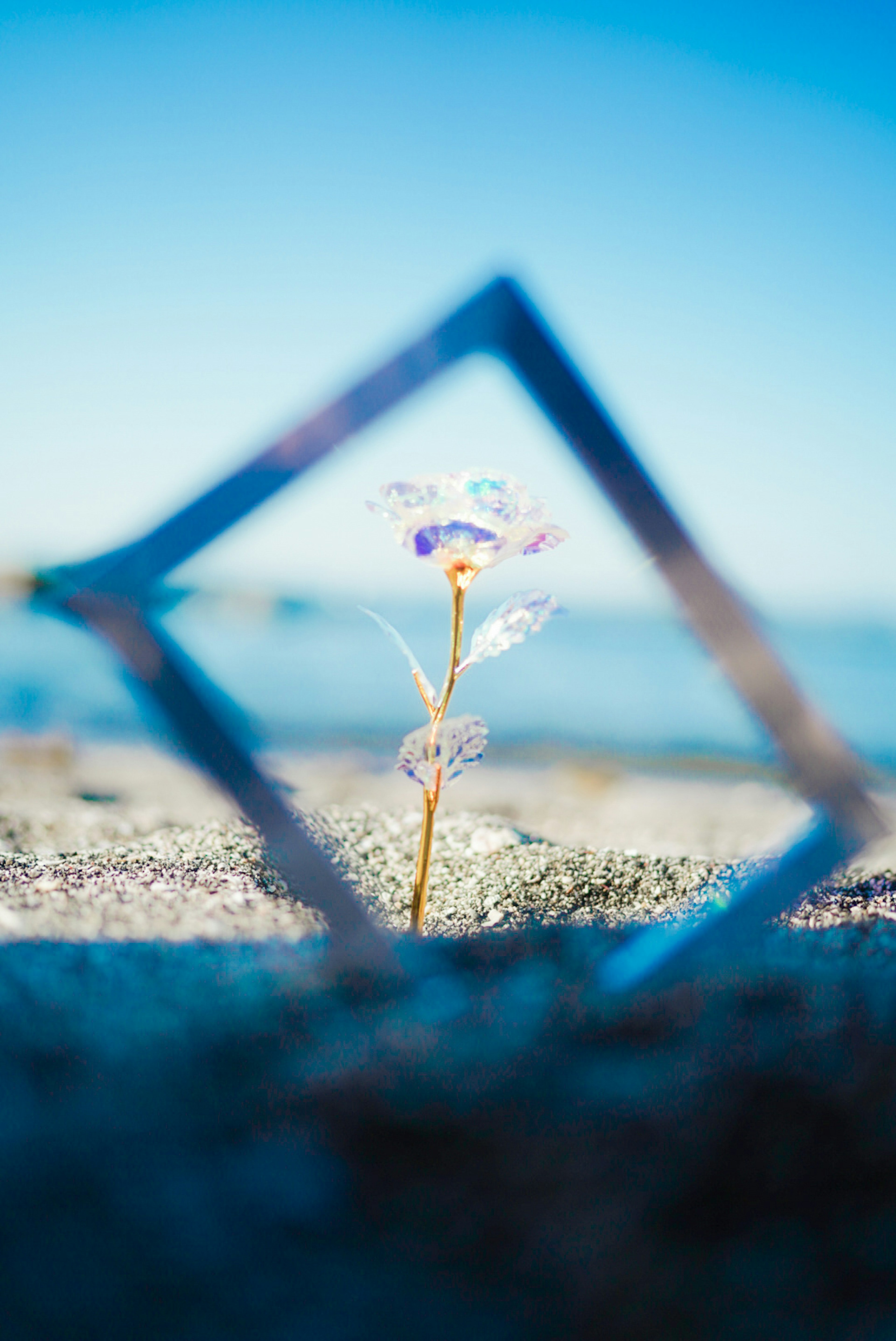 Eine Blume durch einen geometrischen Rahmen vor blauem Himmel