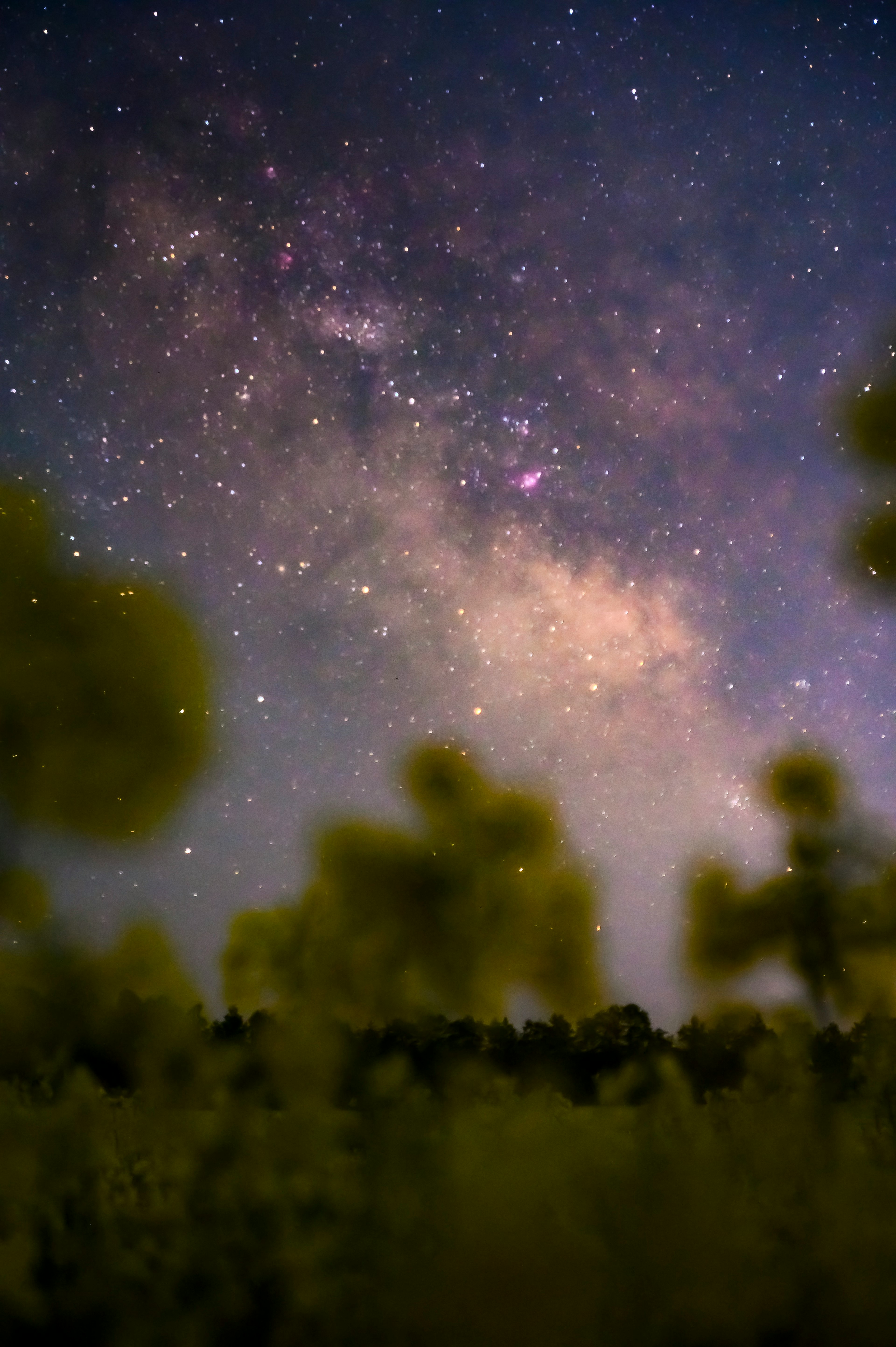 Stunning view of the Milky Way under a starry sky with silhouetted trees