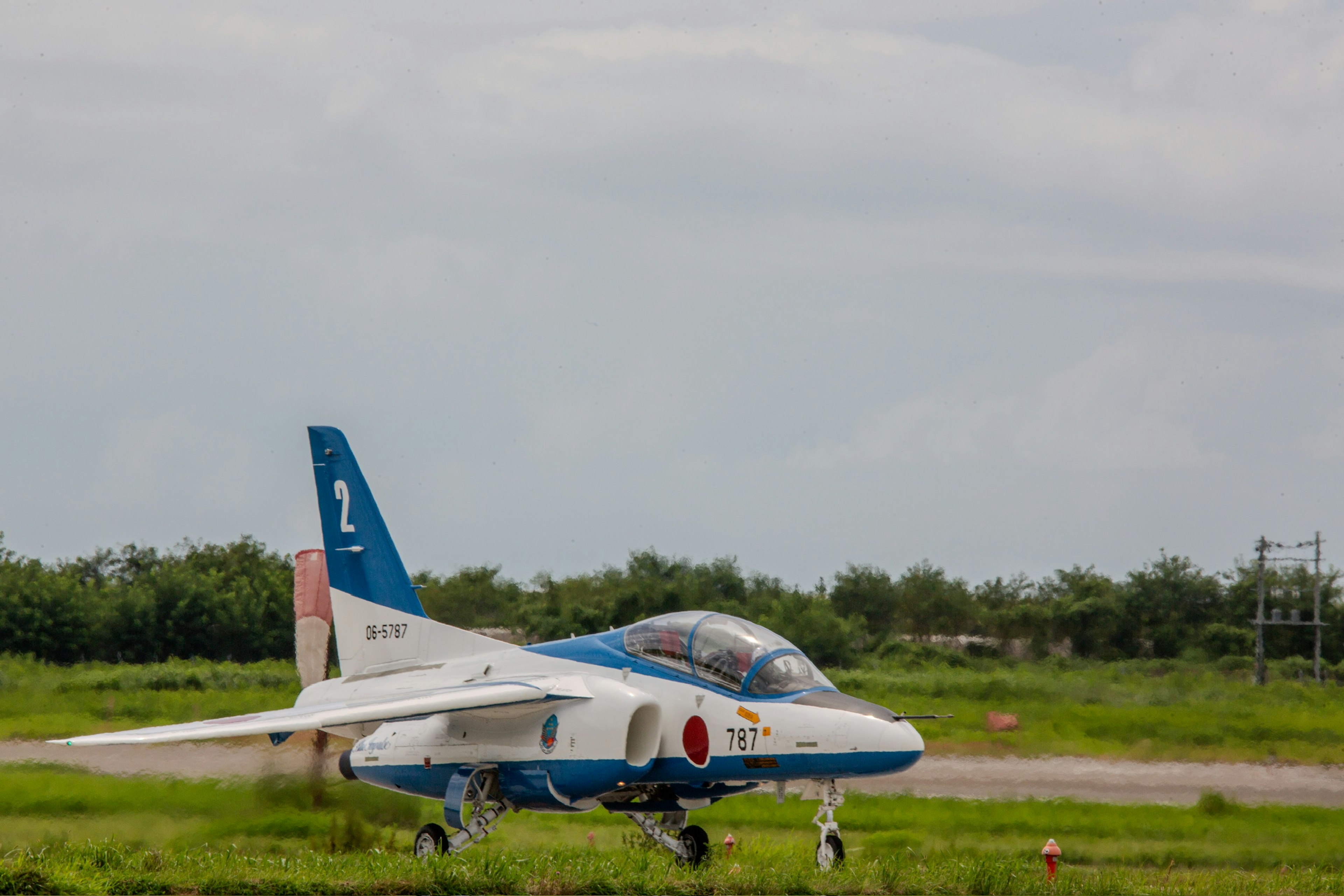 Un avión azul y blanco estacionado en un terreno cubierto de hierba