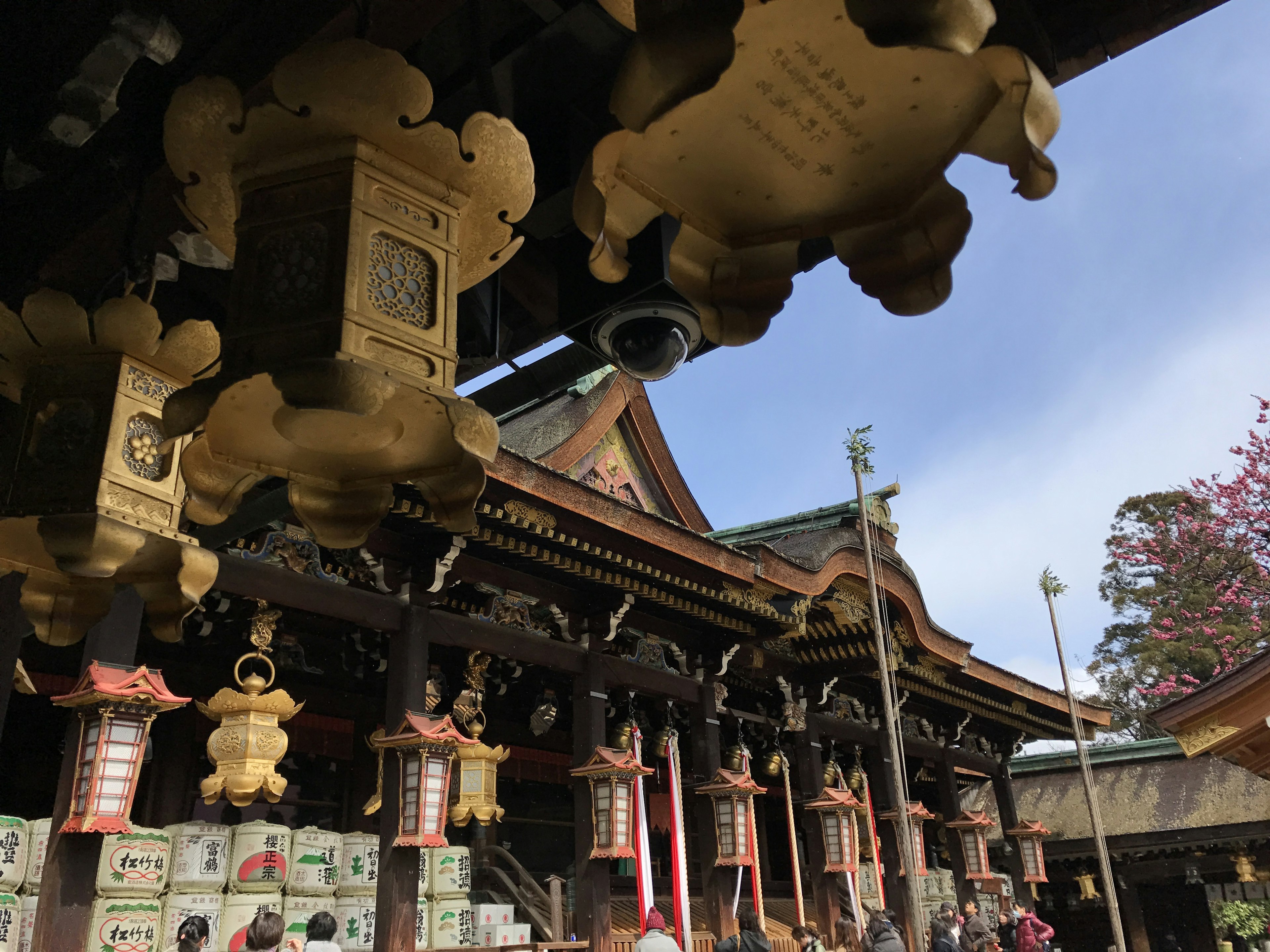 藍天下神社的金色燈籠和木結構