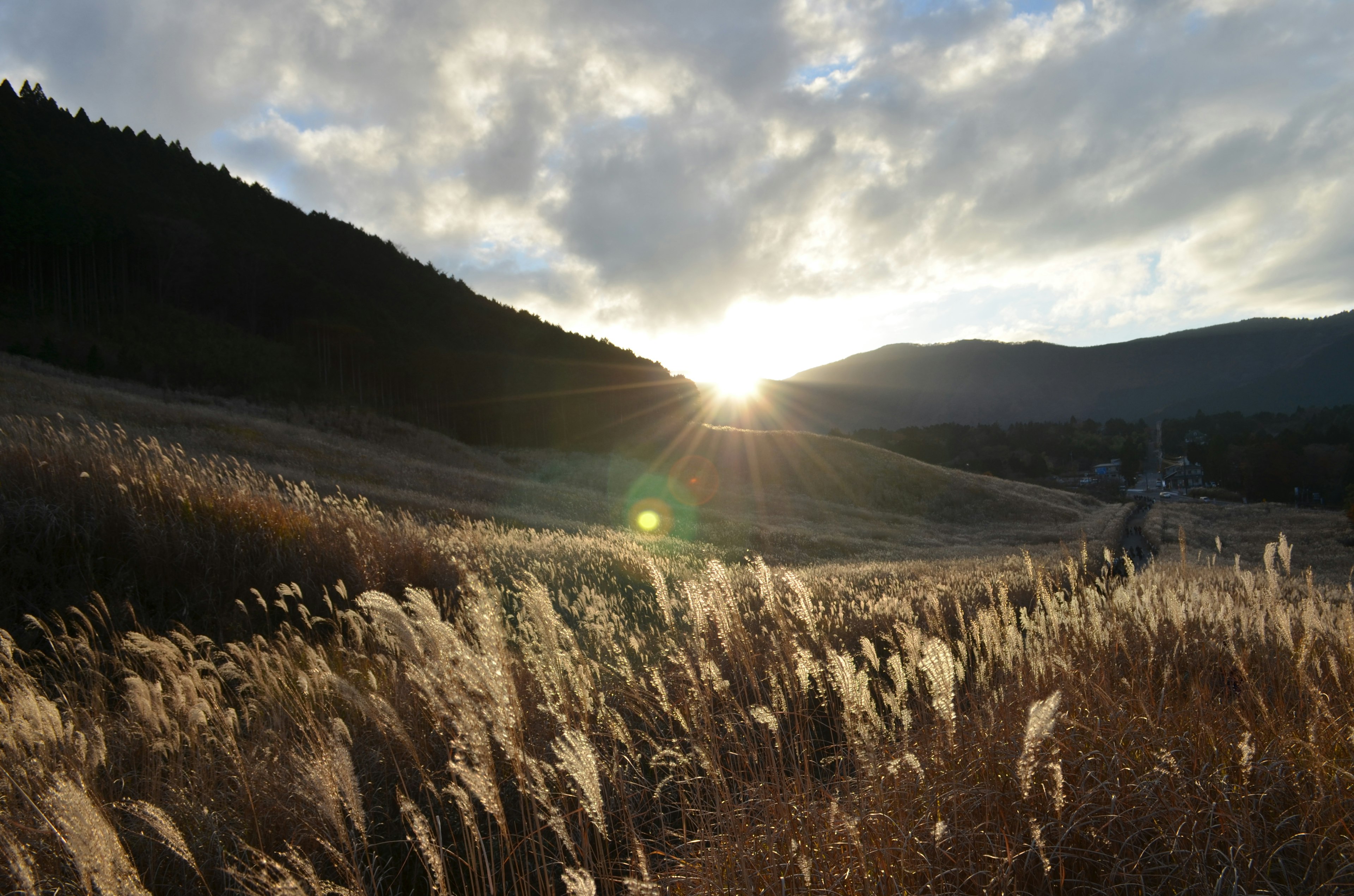 Sonnenaufgang über Hügel mit goldenem Gras im Vordergrund