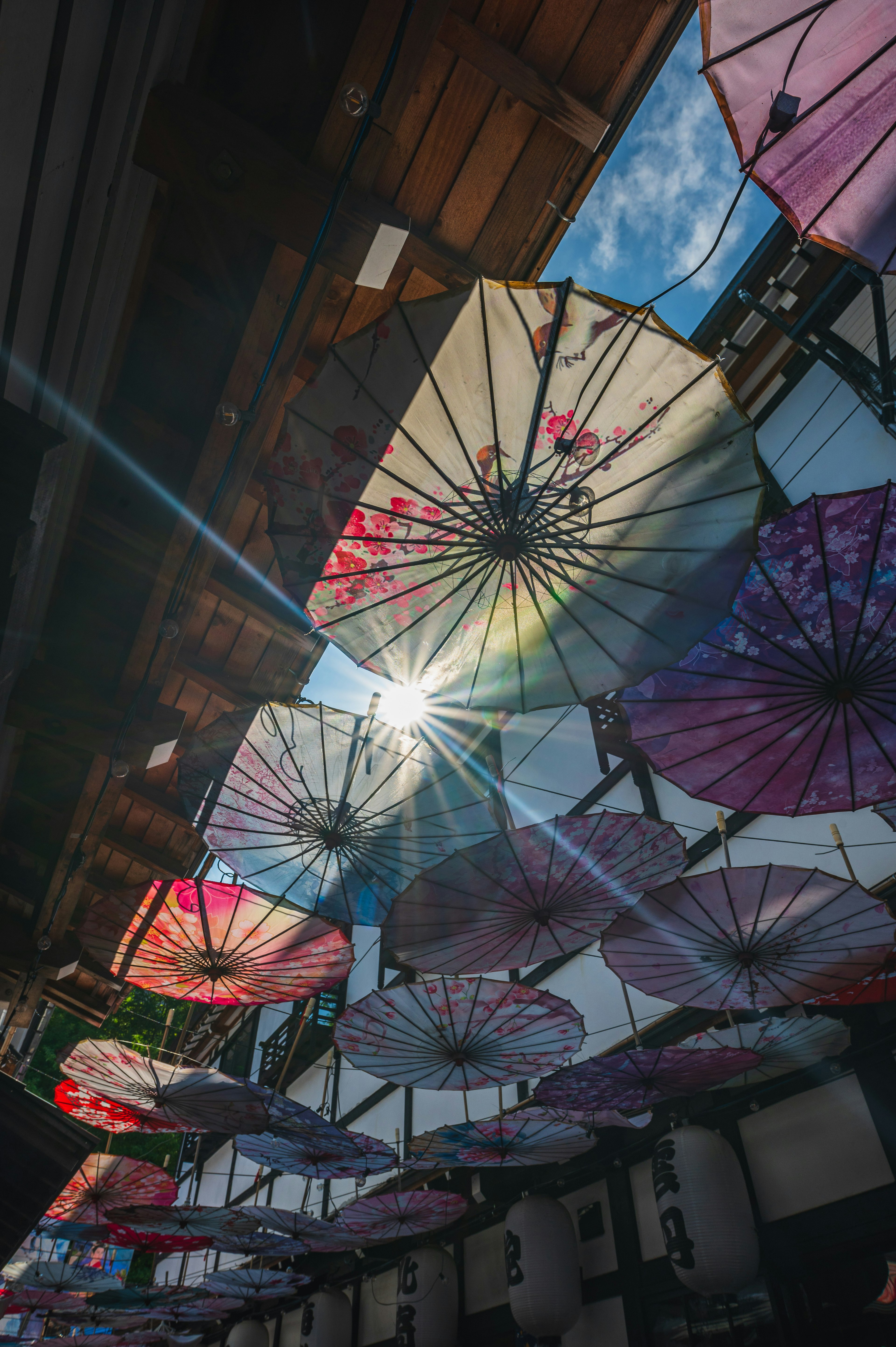 色とりどりの傘が吊るされた屋内の空間に太陽の光が差し込むシーン