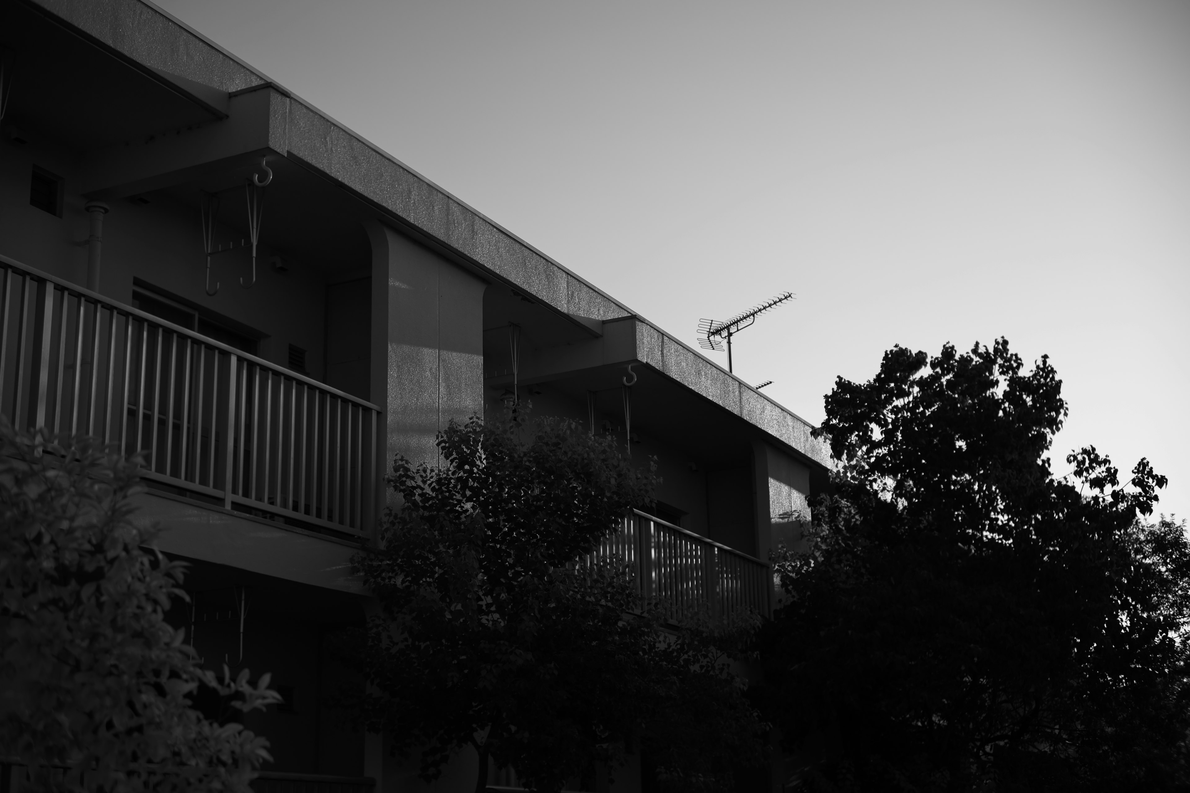 Vue extérieure d'un bâtiment en noir et blanc avec des détails de balcon