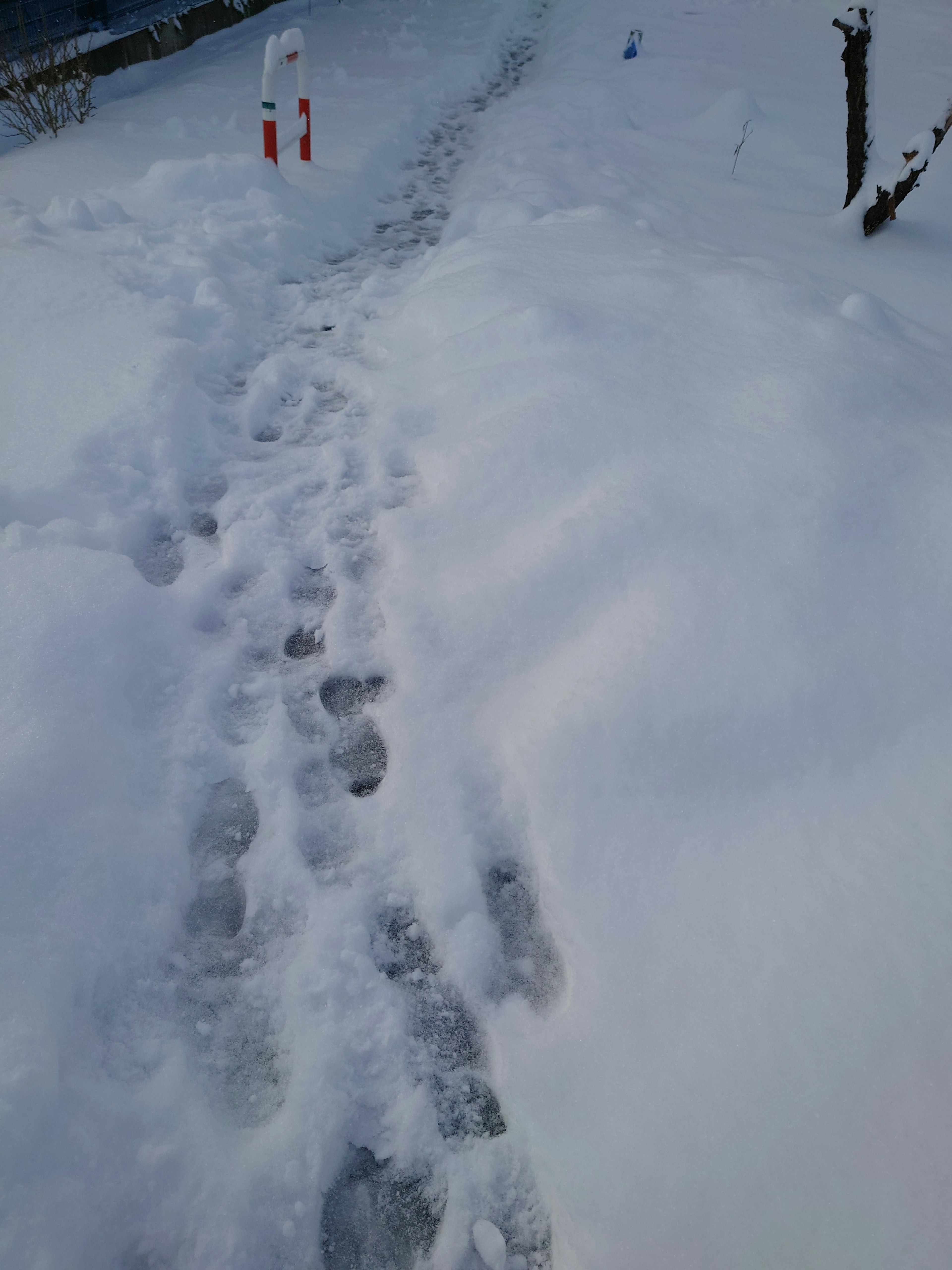 雪に覆われた道に残る足跡と赤い標識