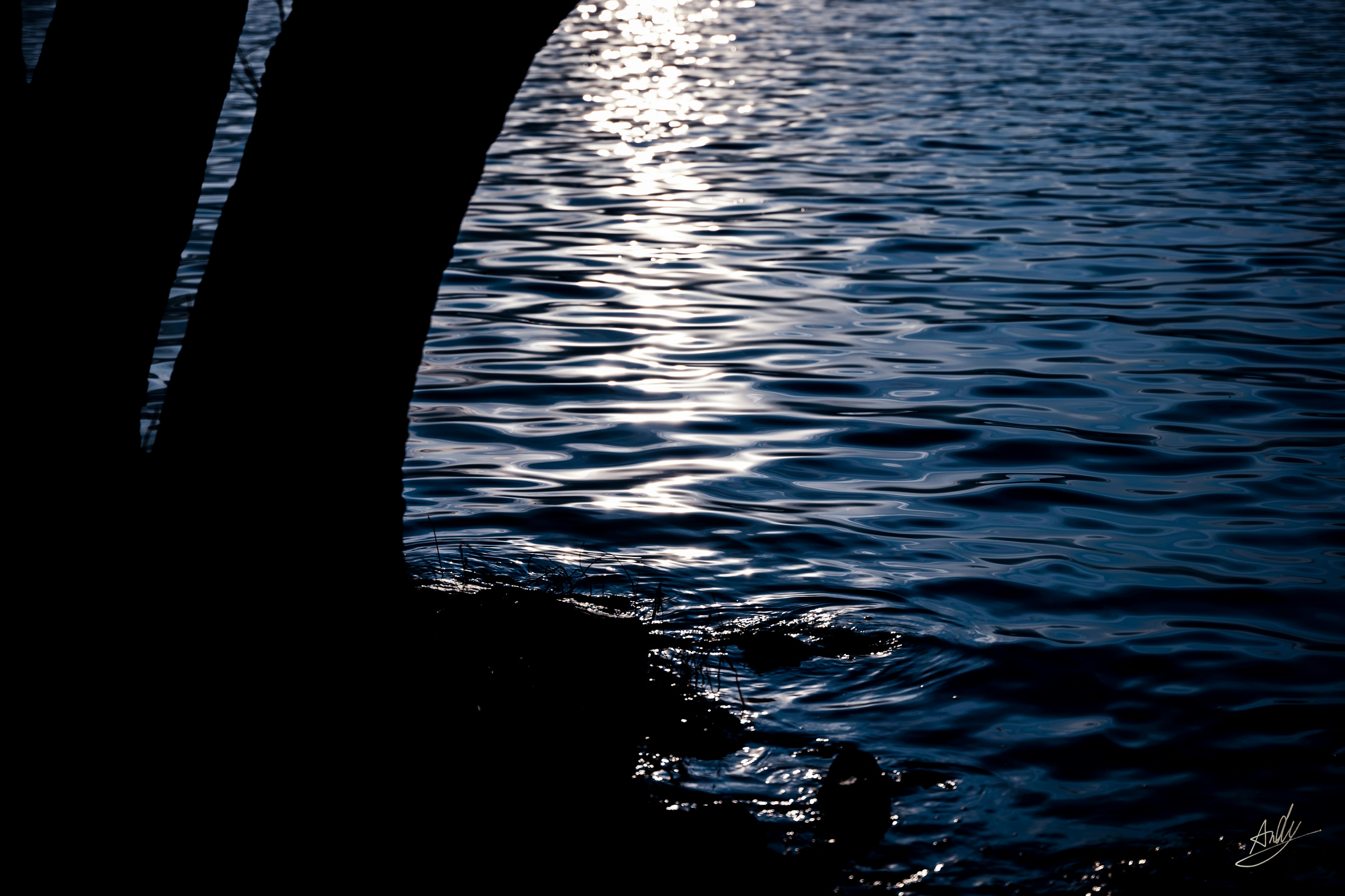 Hermoso paisaje con contraste de luz y sombra en la superficie del agua