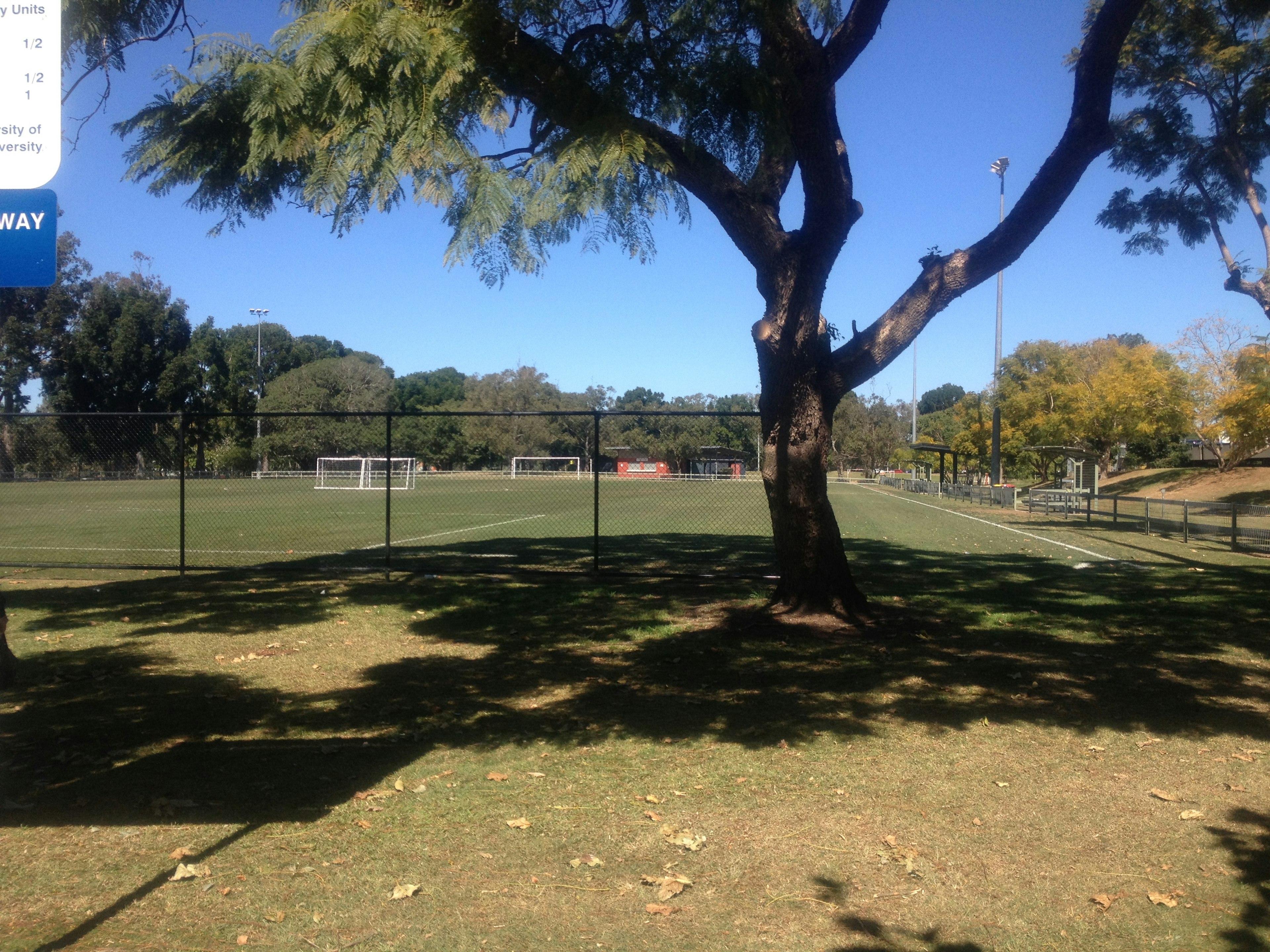 Spacious soccer field in a park with a large tree's shadow