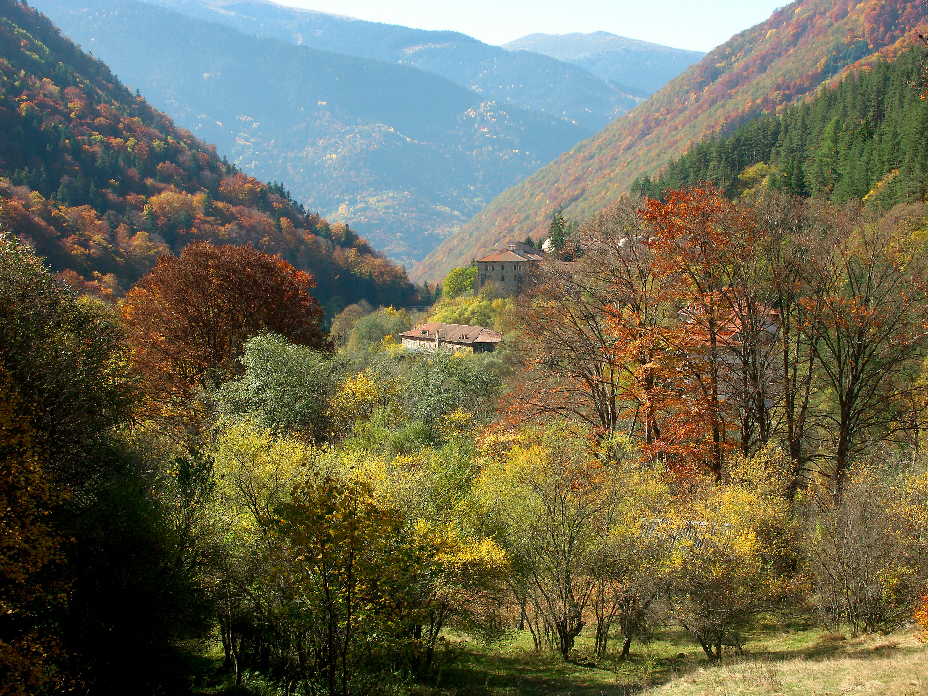 Vue pittoresque des montagnes et de la vallée en automne avec des arbres verts et orange créant une ambiance idyllique