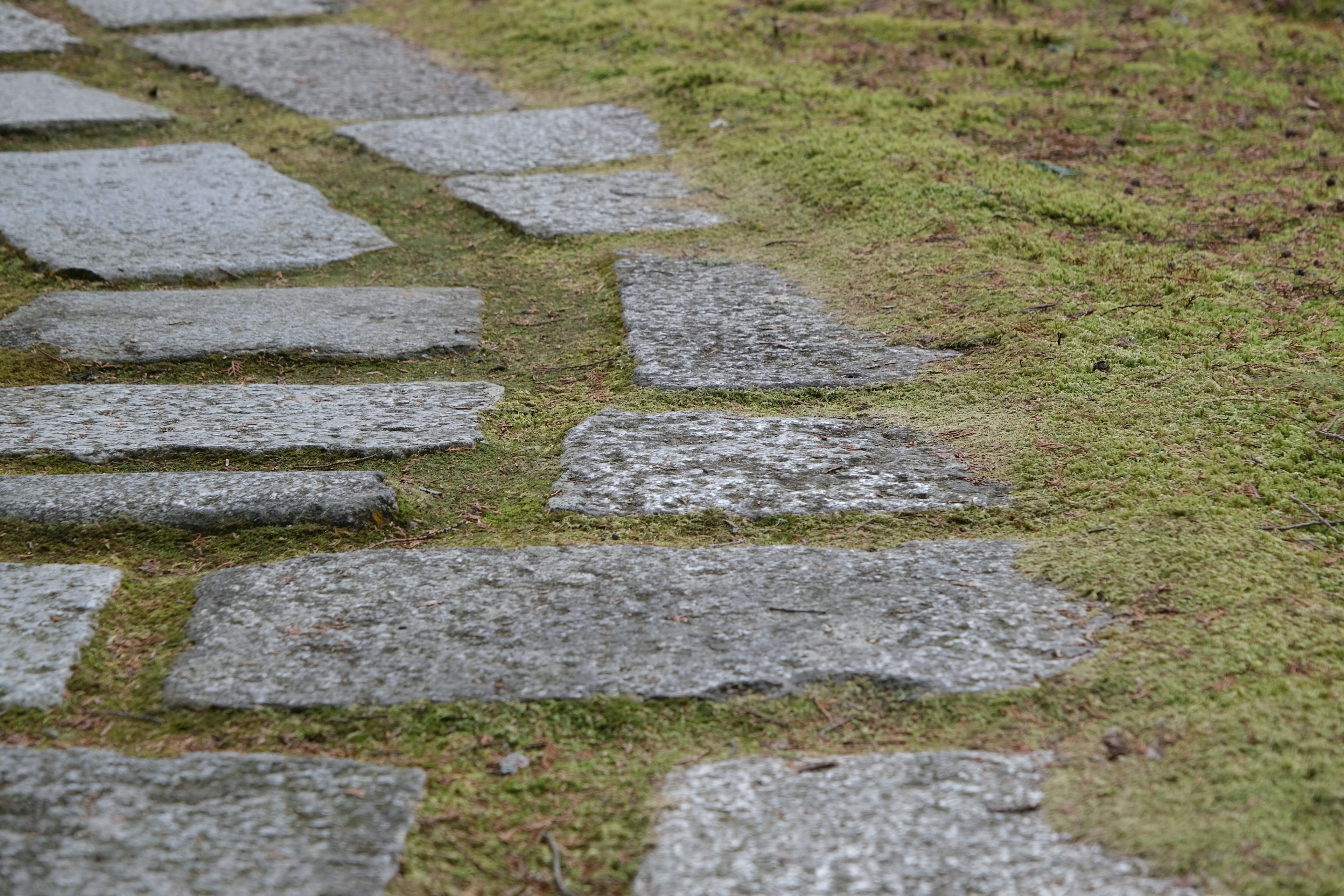 Pathway of stone slabs laid on green grass